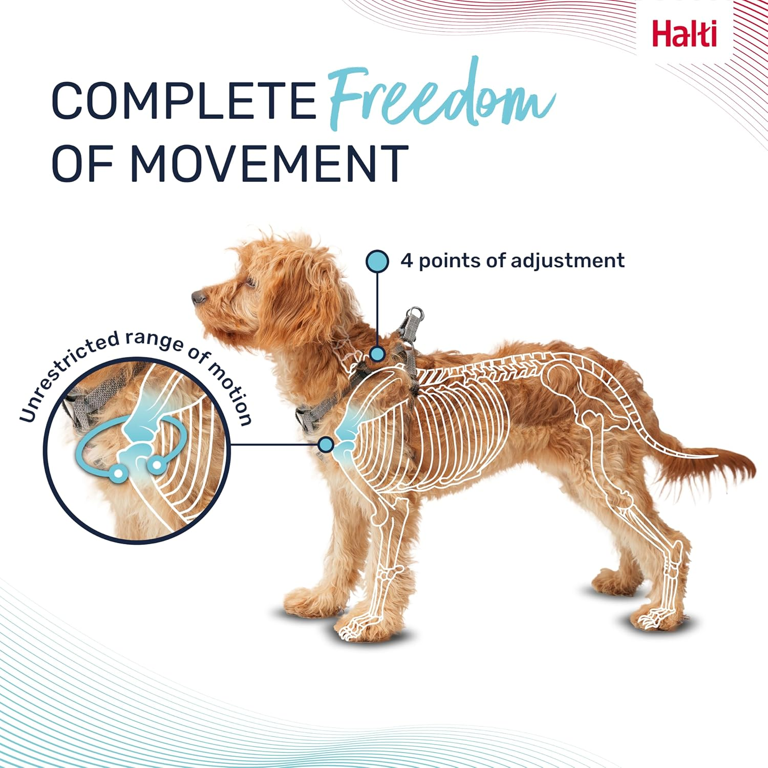 HALTI Anatomy Puppy Harness - Provides Your Puppy Freedom of Movement for Comfortable Walking. Easy-Fitting with 4 Points of Adjustment. Suitable for Miniature Dog Breeds (Size Xx-Small, Grey) image number 2