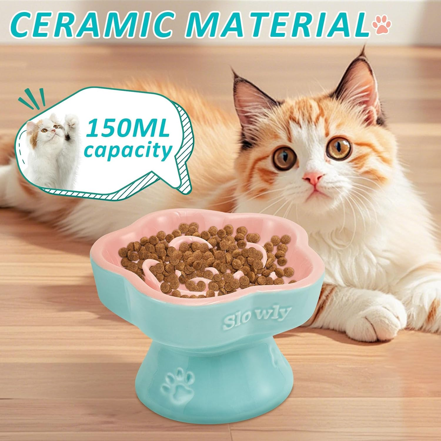 UKQRRTC Raised Cat Slow Feeder Bowl, Ceramic Elevated Cat Food Bowl, Safe Shallow Wide Tilted Cat Dog Eating Bowl, Dog Food Bowl for Cats Dogs Dry and Wet Food image number 5