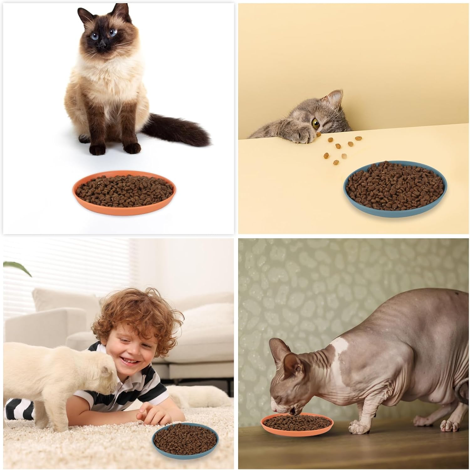 Pack of 12 Flat Feeding Bowls, Cat Food Bowls, Cat Feeding Bowls for Cat Food Bowl, Flat Cat Bowl, Cat Bowls, Cat Plates, Drinking Bowl, for Dry Wet Food image number 5