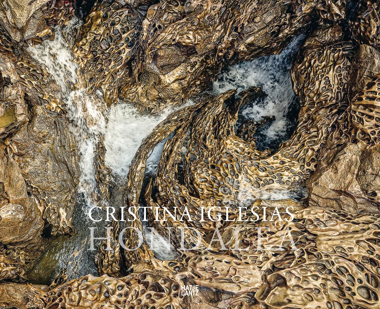 Cristina Iglesias (Bilingual Edition): Hondalea image number 5
