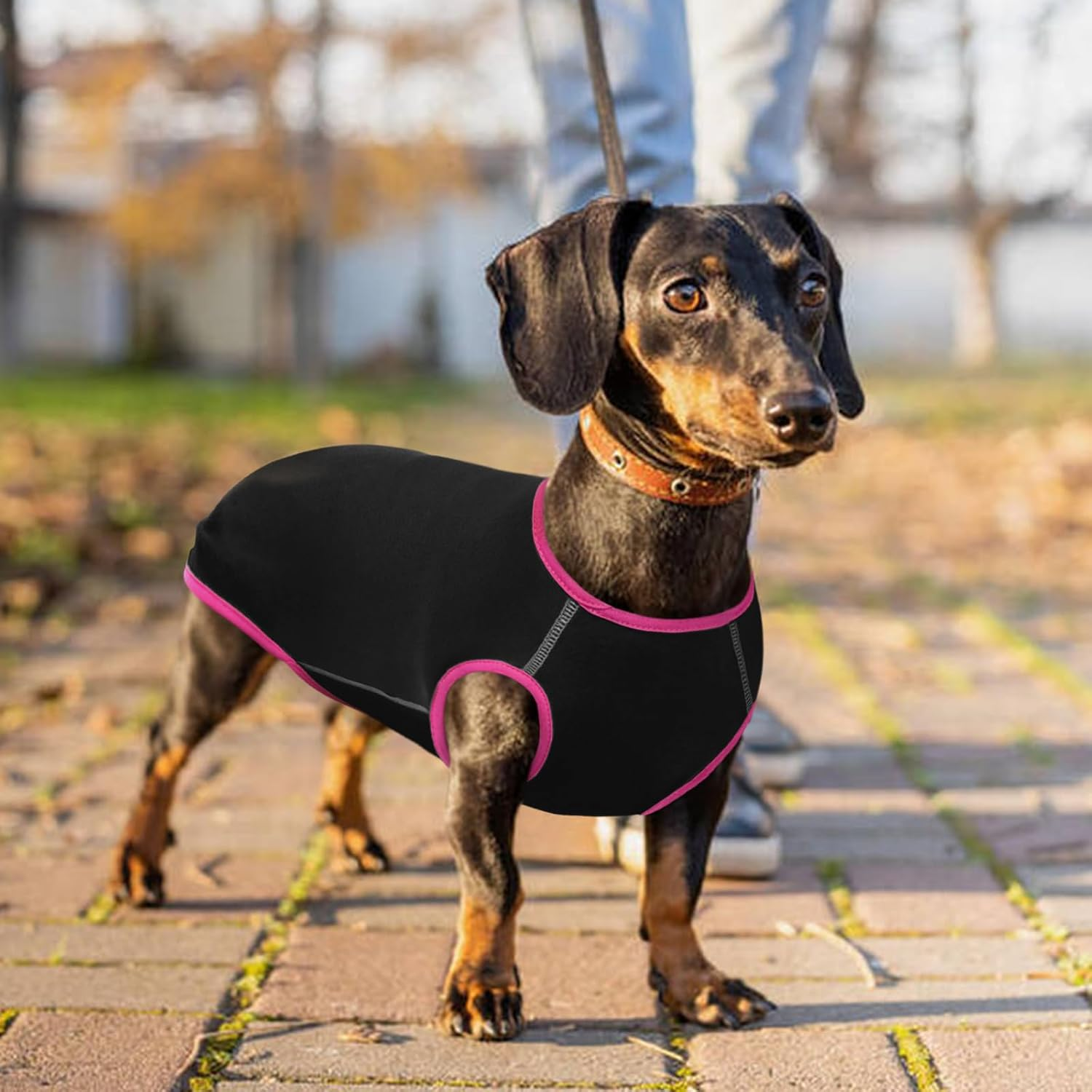 Hjyokuso Dachshund Jumper, Soft Elastic Dachshund Fleece Pullover for Mini Sausage Dogs, Lightweight and Breathable for Home Use or Outdoor Walks, All-Season Wear, Black XS image number 1