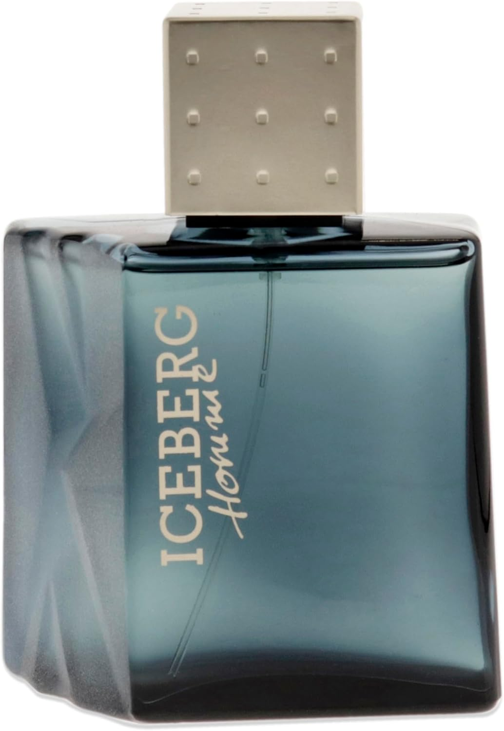 Iceberg Homme by Iceberg for Men - 3.3 Oz EDT Spray image number 1