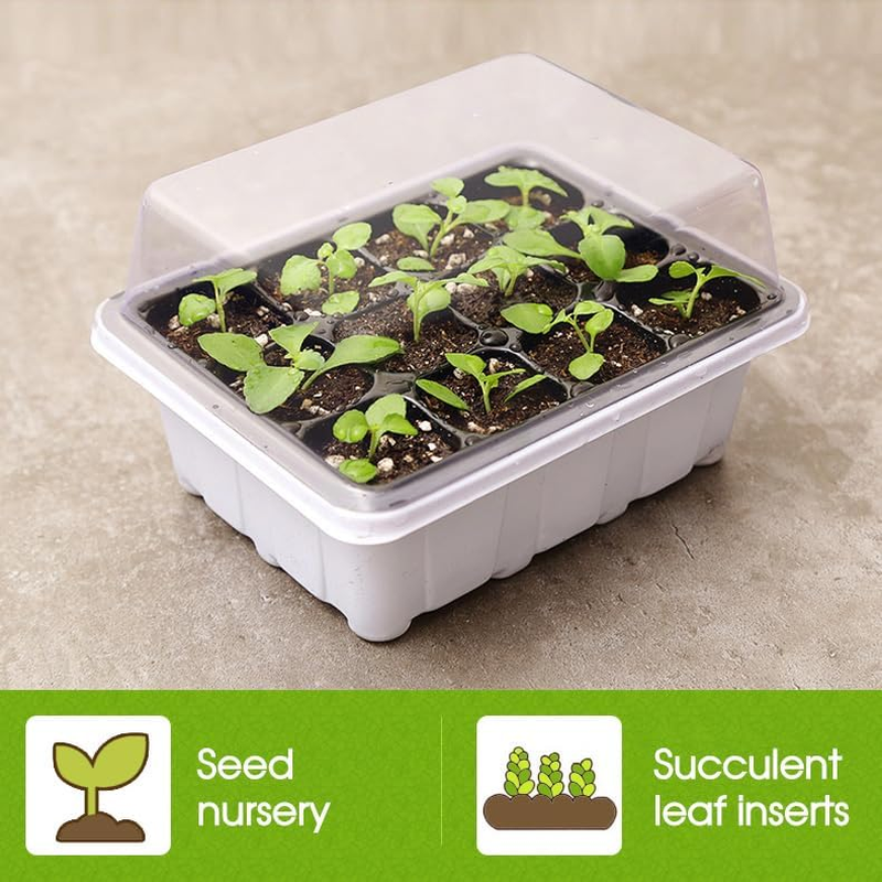 Tootoo 10 Set 12 Hole Plant Seed Grow Box Propagation Nursery Seedling Starter Tray image number 4