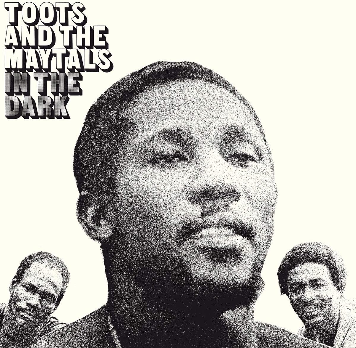 In the Dark (180G Audiophile Vinyl/Import)