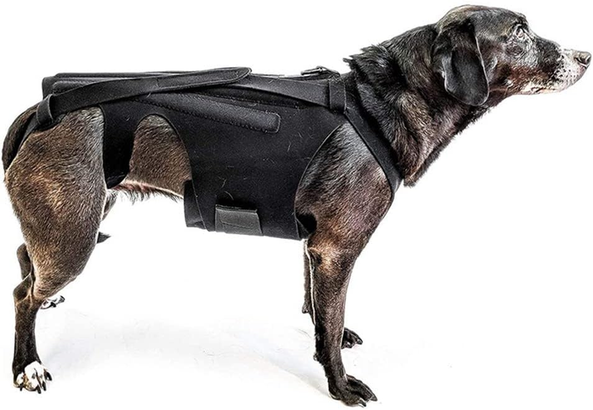 Dog Back Brace for IVDD, Back Brace Comfortable Full Body Harness Dog Clothing Dog Back Protector -L image number 5