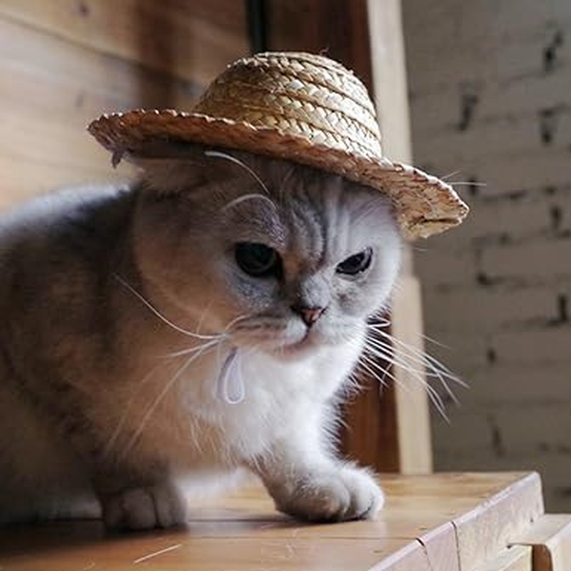 Novelty Summer Adjustable Pet Dog Outdoor Straw Hat Puppy Small Kitty Cat Sunhats Dog Hat Apparel and Accessories Pet Supplies image number 2