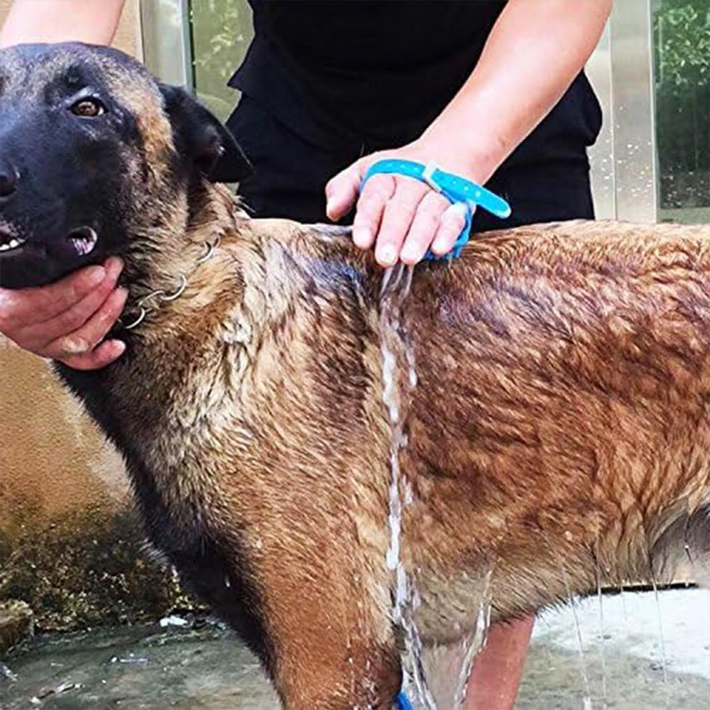 2-In-1 Pet Shower Sprayer & Massage Brush &ndash; Handheld Dog and Cat Bathing Tool with Detachable Shower Head, Slip-On Faucet Attachment, Silicone Scrubber for Indoor & Outdoor Grooming