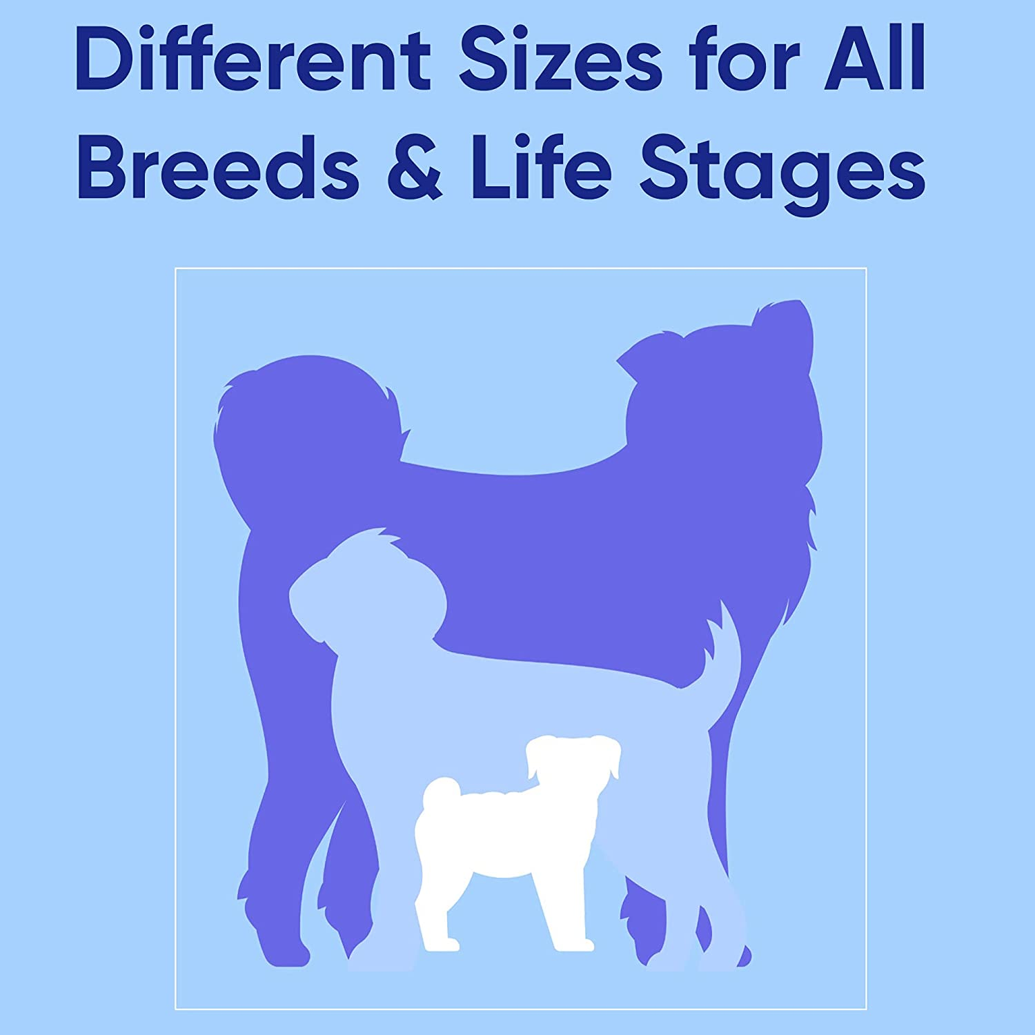 Pawtitas Solid Color Leash Puppy Leash Dog Leash Comfortable Handle Dog Training Leash 6 Ft Dog Leash Medium/Large Lush Green image number 2