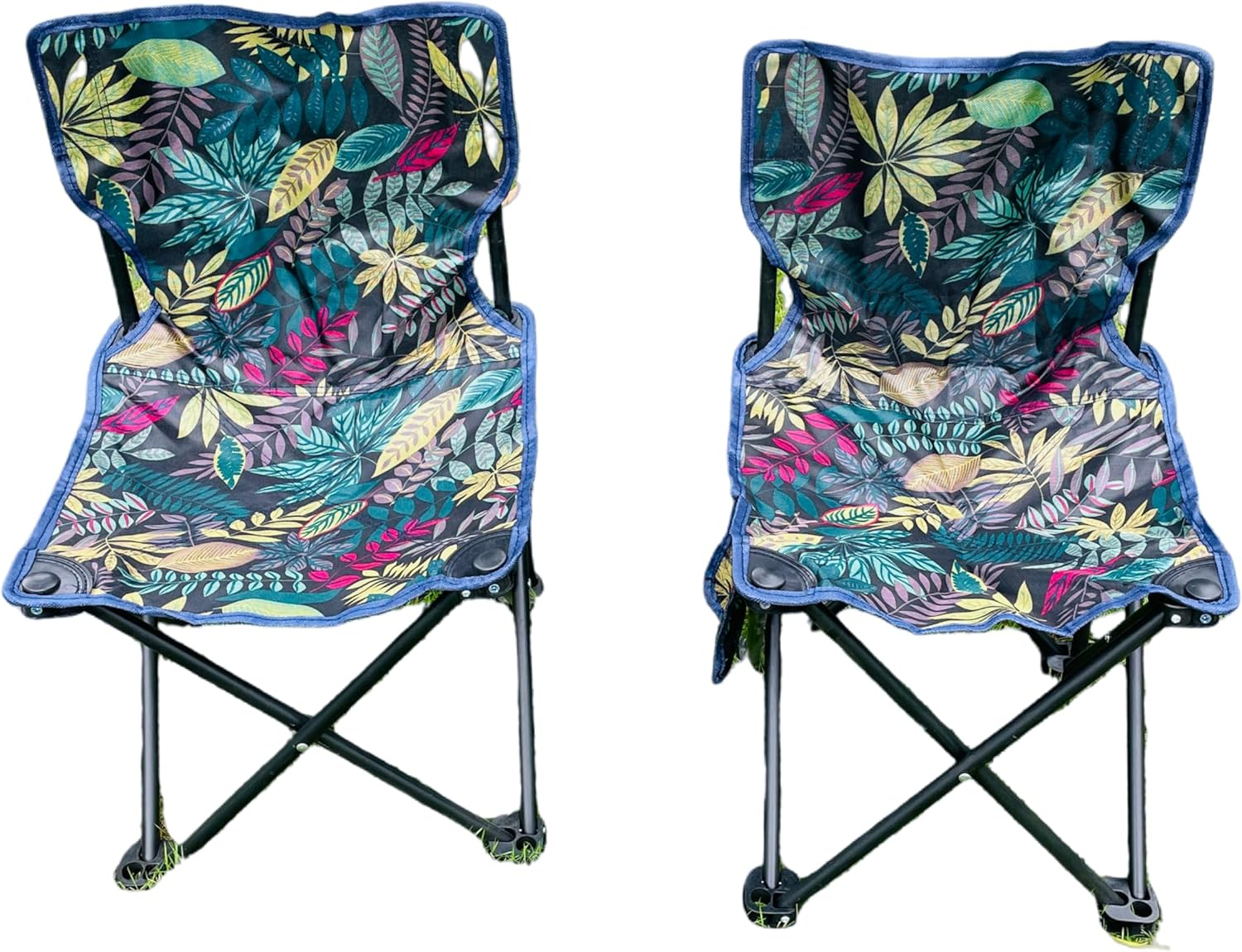 Portable Folding Camping Chair, Tropical Leaf Pattern, 113.4 Kg Capacity, with Carry Bag image number 1