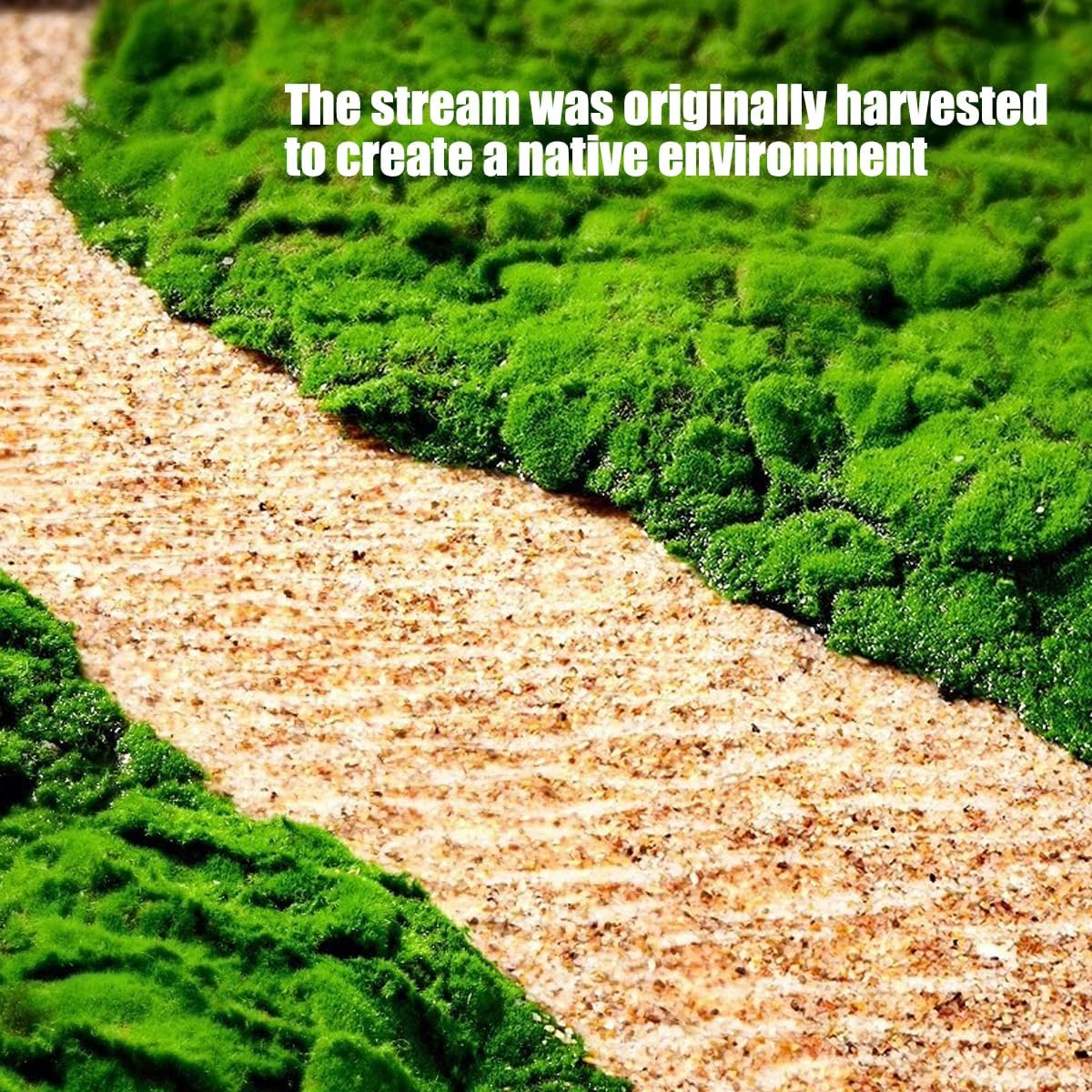 AIMALL Premium Natural Quartz Sand for Aquariums, 2-4Mm Fine Grain, Supports Plant Growth, Crystal-Clear River Stone for Freshwater Tanks, 3.3Lbs Bag image number 6