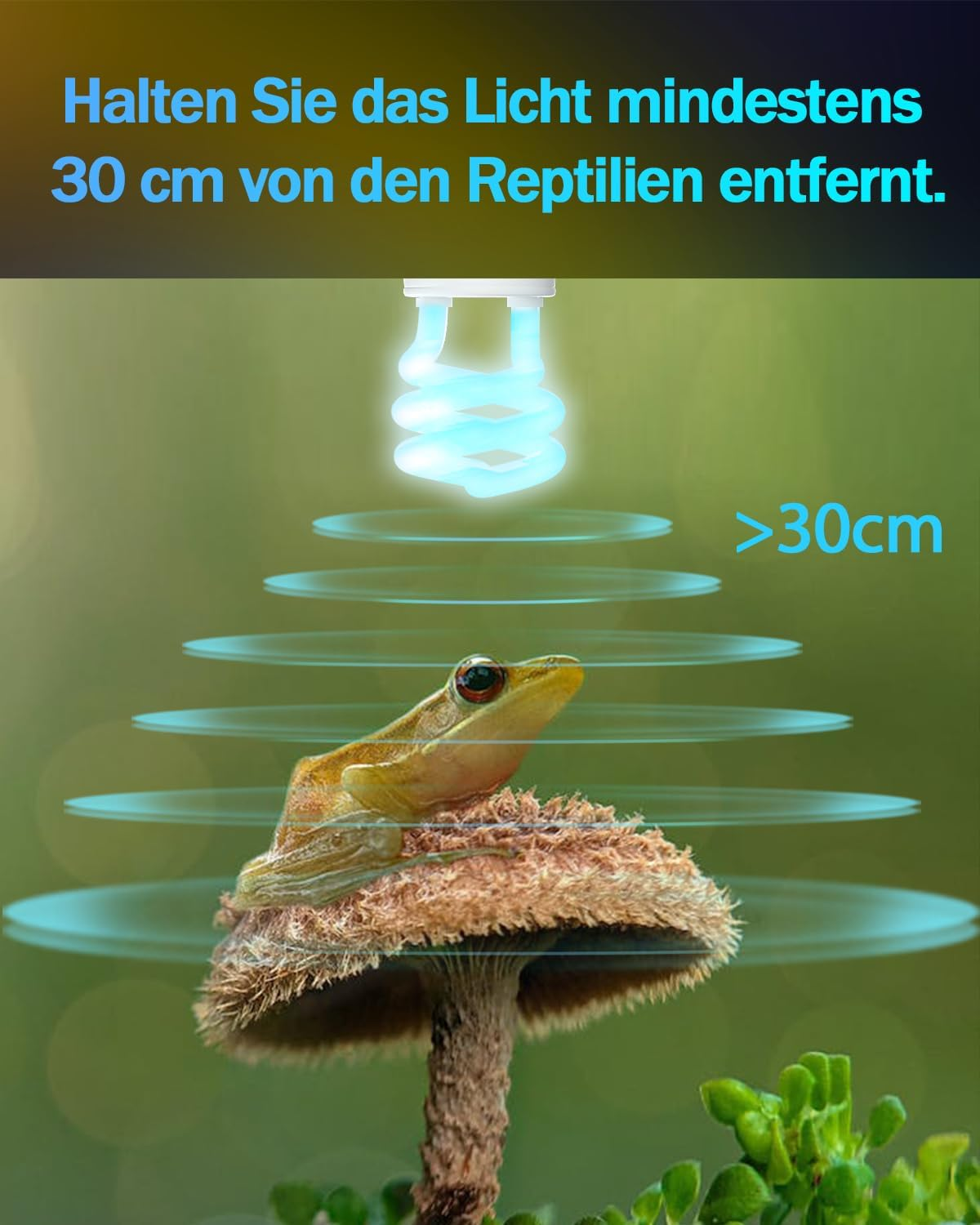 Doright 5.0 13 W UVB Lamp, E27 Reptile Compact UVA UVB Lamp Terrarium, AC 220-240 V Animals Fluorescent Lamp for Lizard Chameleon Leopard Gecko Vivarium Turtle Tank Pack of 1 image number 3