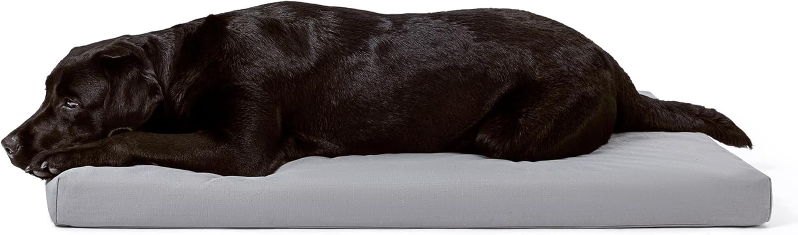 Cybarmour Chew Proof Dog Bed - Outdoor Waterproof Chew Resistant Dog Crate Pad - Orthopedic Kennel Mat for Aggressive Chewers - Medium Breeds & Fits L 77Cm Crate - 74X46X7.5Cm, Limestone