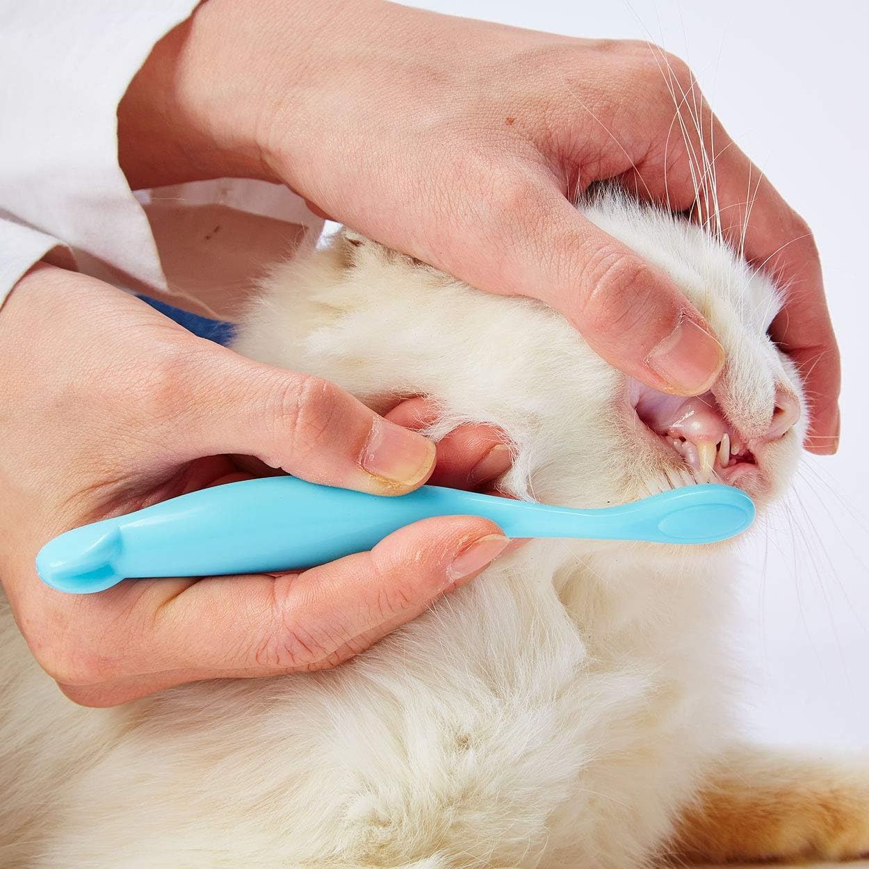 Petio Pet Soft Dental Toothbrush image number 1