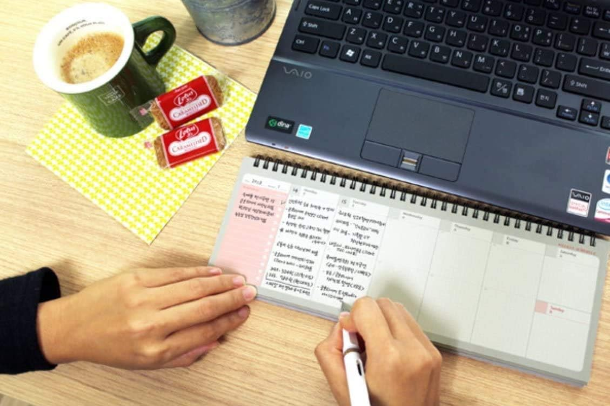 PAPERIAN Brilliant Weekly Scheduler - Wirebound Undated Weekly Planner Pad Scheduler (Blue)