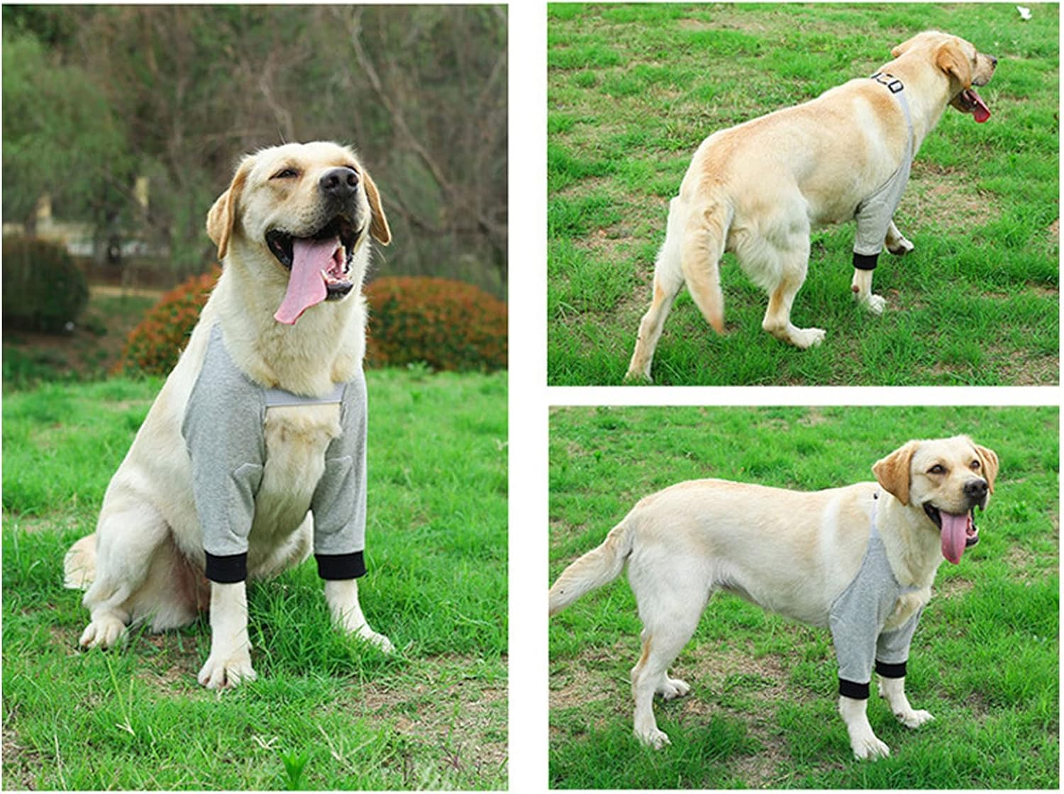 Dog Recovery Suit, Dog Elbow Protector, Adjustable Straps Dog Shoulder Brace, Joint Warming Breathable Dog Front Leg Sleeve for Dogs Puppy (L) image number 3