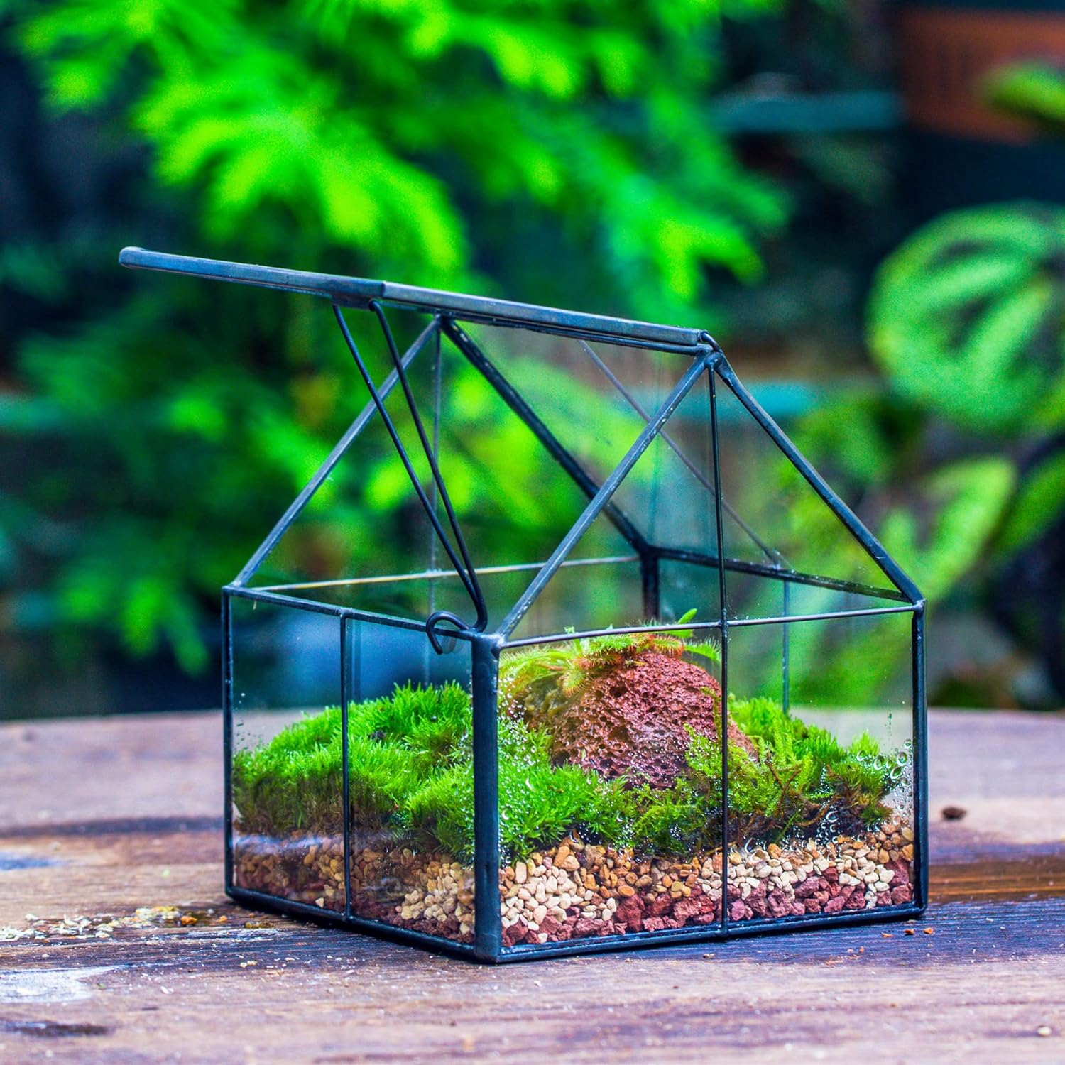 NCYP Mini Glass Geometric Terrarium with Lid - 4.25" X 4.25" X 4.92" Small House Shape Close Planter Pot for Succulents Plant - Handmade, Home Garden Office Tabletop Decor, Black (Terrarium Only) image number 1