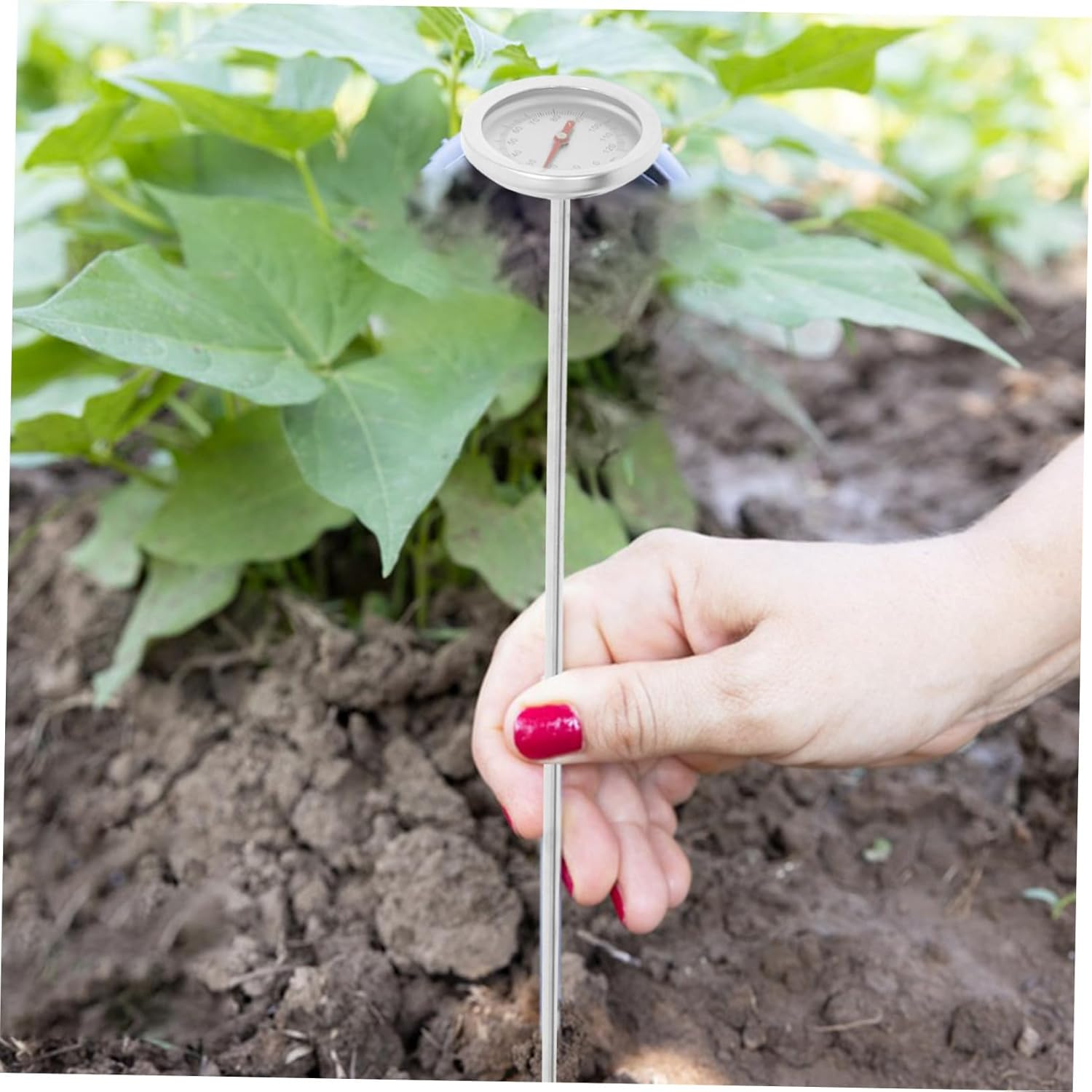 UPKOCH Portable Soil Thermometer for Gardening Stainless Steel Probe Accurate Compost Temperature Measurement Tool Use Backyard Garden Soil Temperature Gauge image number 1