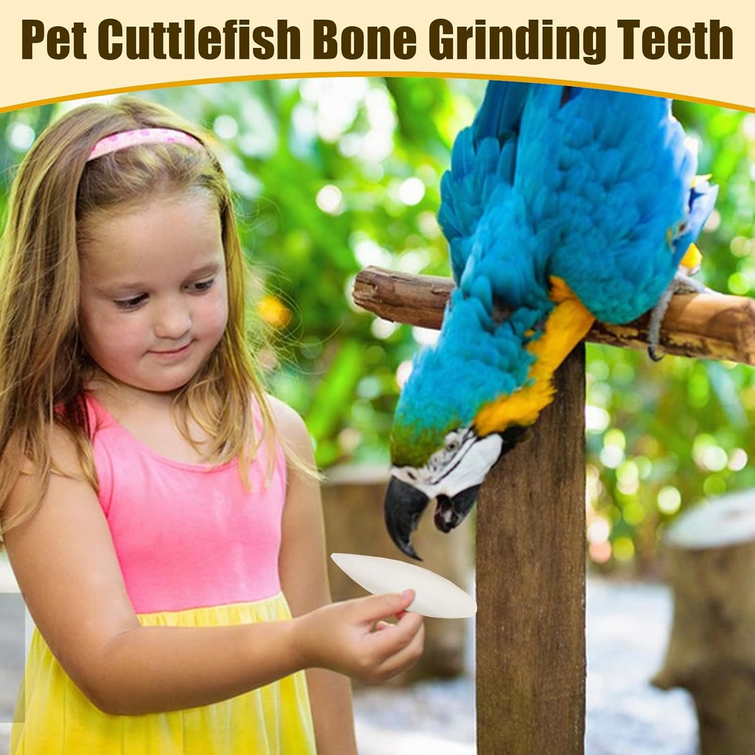 Cuttlebone for Birds, Natural Calcium for Parrots, Pet Birds Nutritional Supplementation Calcium for Cockatiels Sparrow Parakeet Conures Budgies