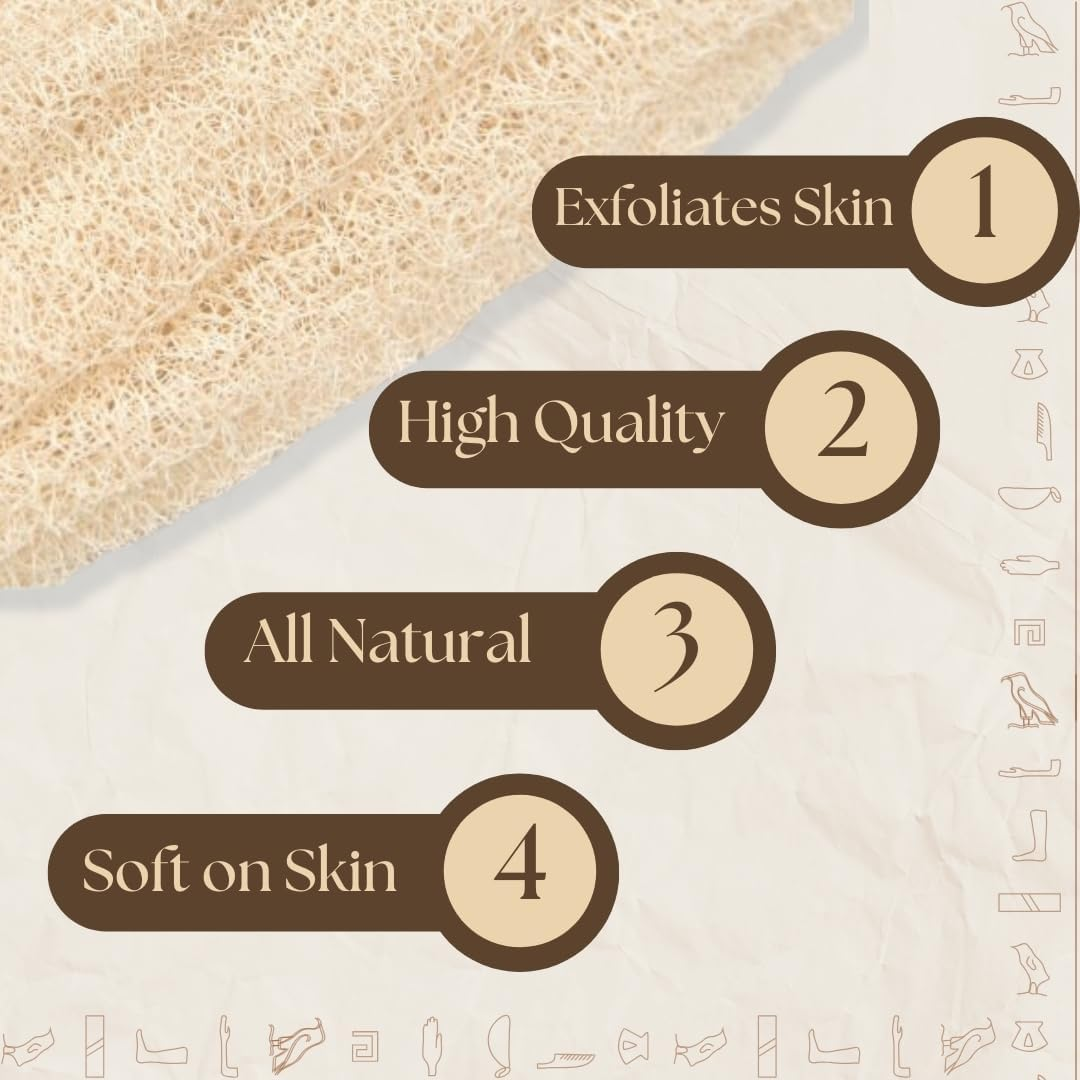 One Whole Egyptian Loofah 100% Natural SPA Beauty Bath Sponge Body Scrubber Puff. Premium Quality Lofa Loofa Luffa Loffa for Exfoliating Your Skin. image number 5