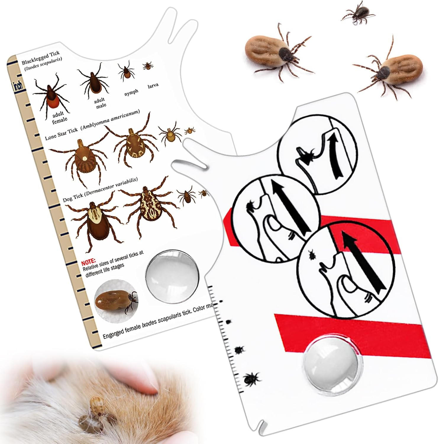 Colorich Pack of 2 Tick Cards Human, Tick Card Dog Cat Tick Removal Tick Card with Magnifying Glass for People Children Dogs Cats image number 5
