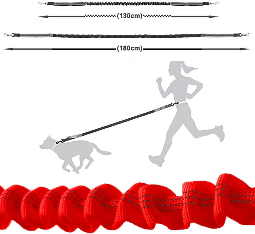 Aiqeer Orange Hands Free Dog Leash, Adjustable Waist Belt and Retractable Bungee Leash, Jogging Dog Leash with Reflective Stitching (Grey Handle) image number 2