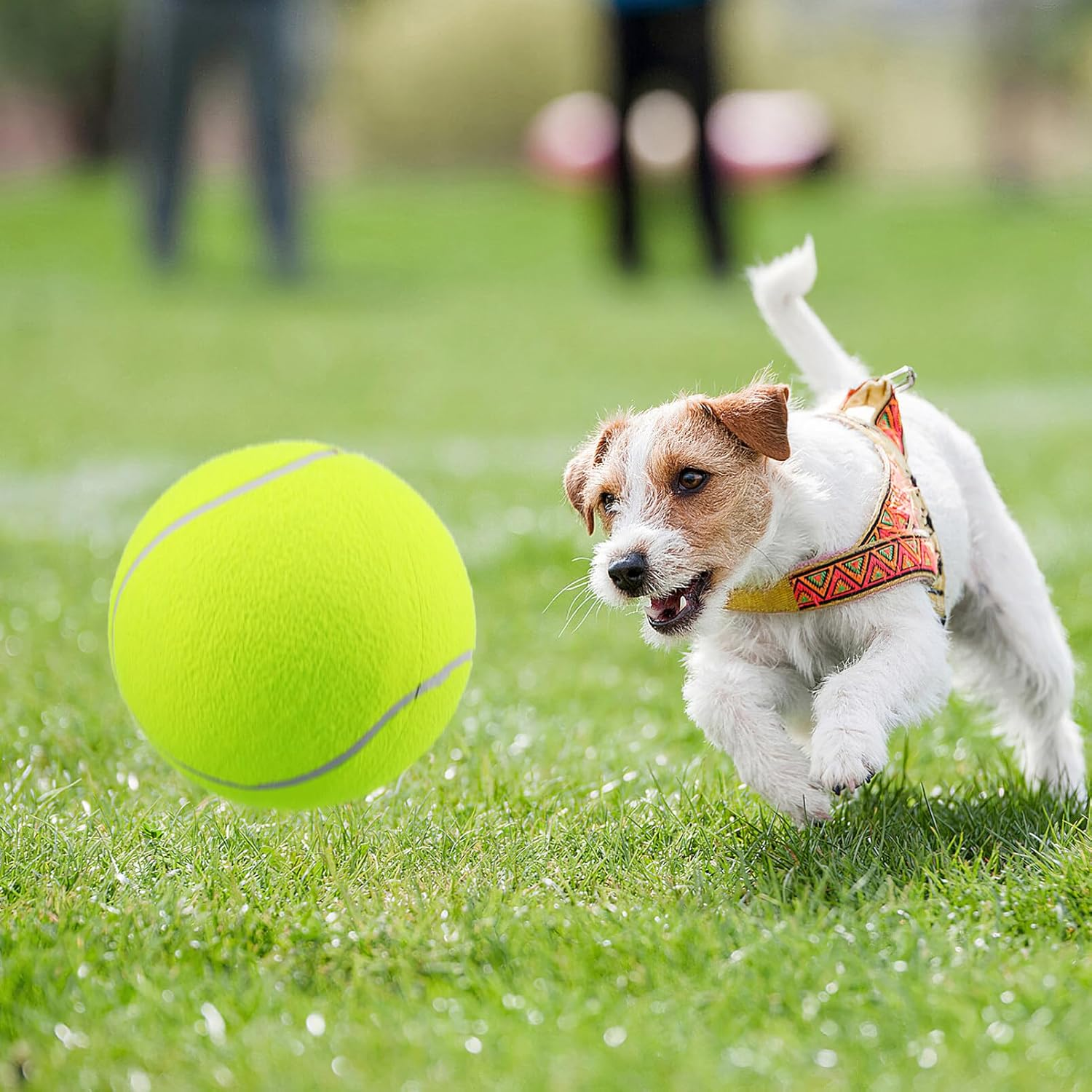 GANAZONO 2Pcs Tennis Large Toys for Dogs Oversized Tennis Balls for Exercise Training Interactive Play for Large Breeds image number 2