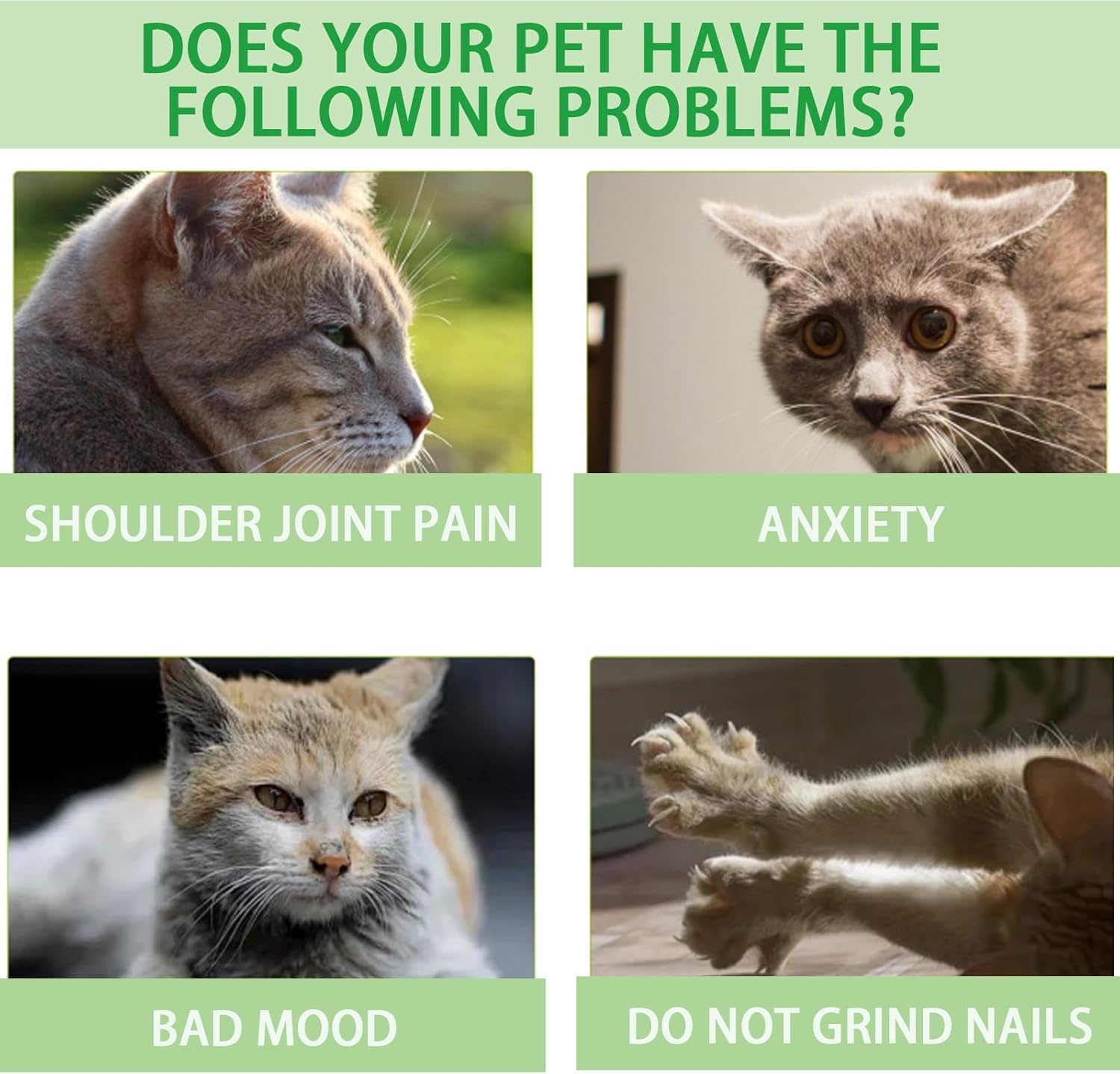 SEMINISMAR Catnip Spray,Herbal Cat Joy Spray,Catnip Spray for Cats,Cat Training Spray with Catnip,Pure Natural Anti-Stress Catnip Spray for Relaxation image number 6