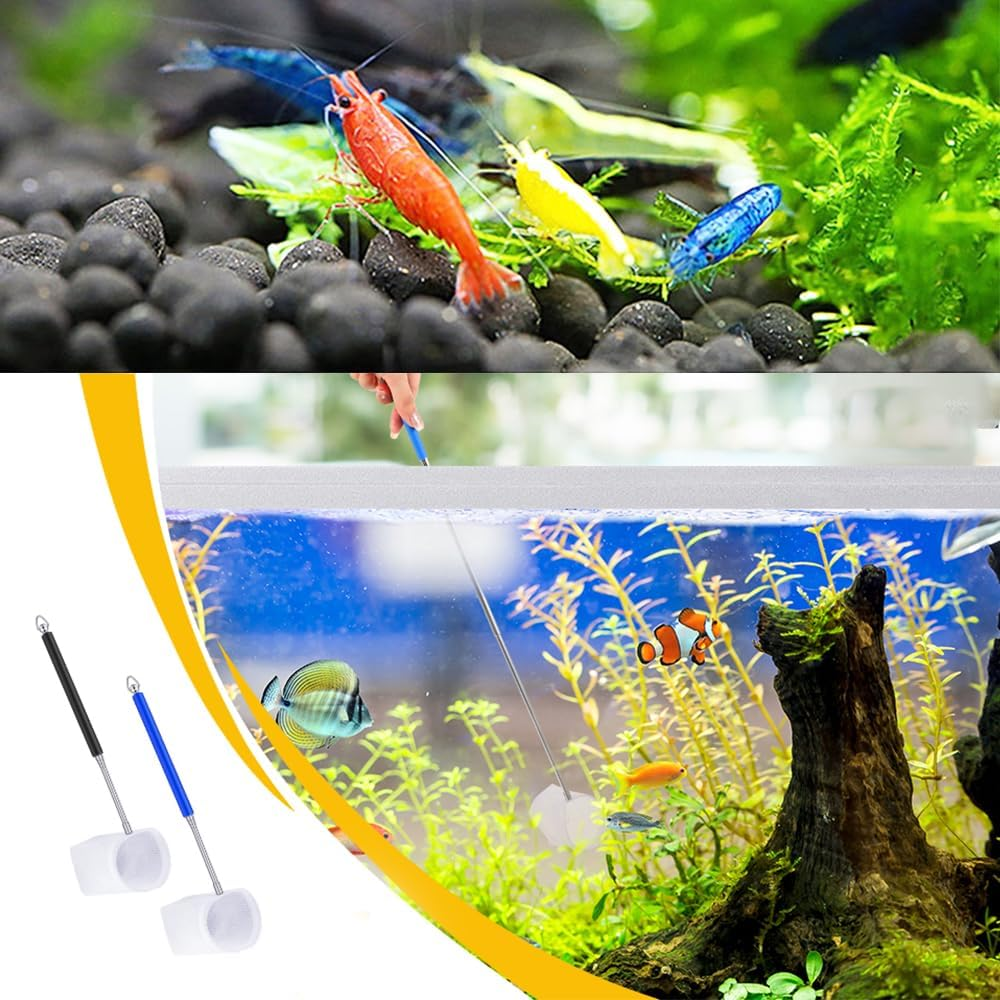 2Pcs Small Telescopic Shrimp Net for Aquarium & Fish Tank, Mini Telescopic Fish Net for Small Fish, Shrimp, Insect - Square & round Net Set, Easy to Use & Store image number 2