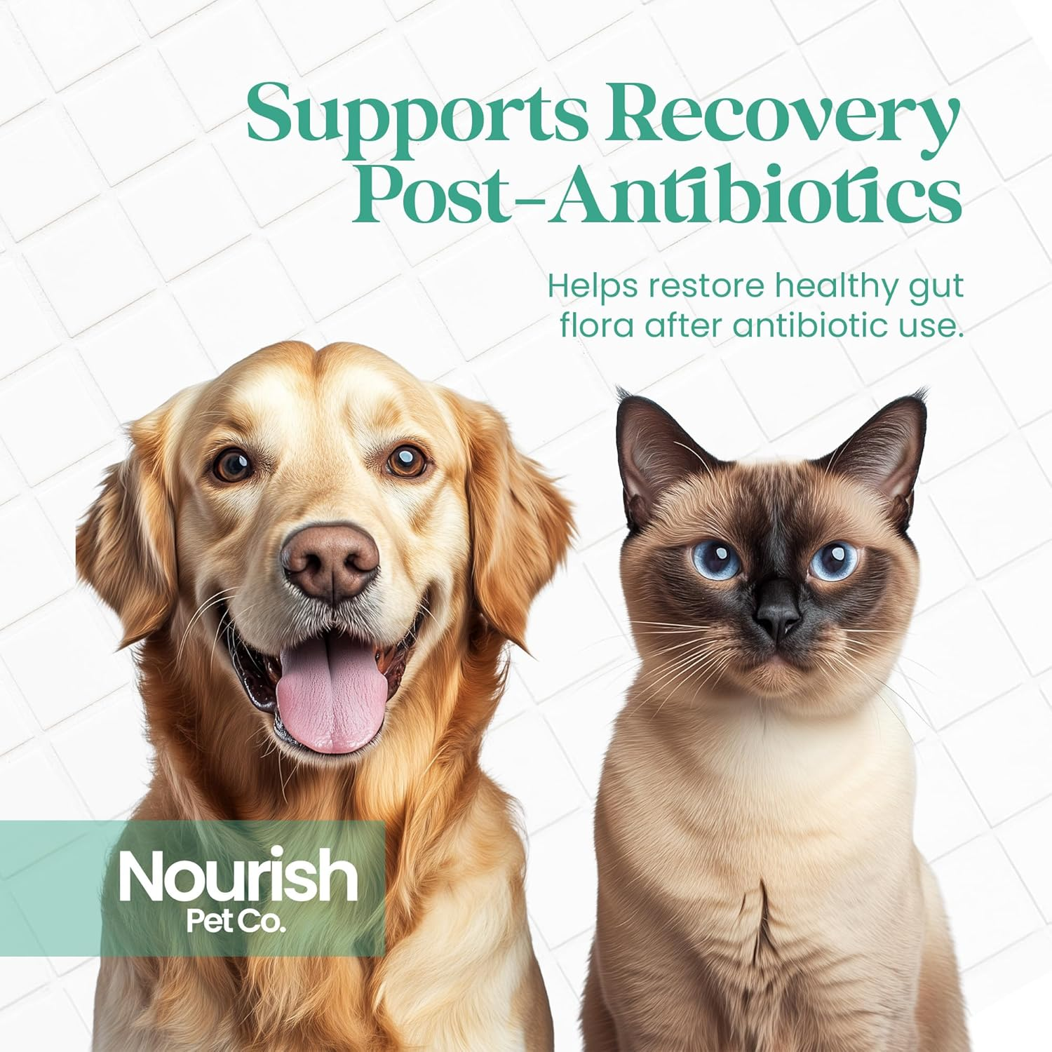 Nourish Pet Co. Gut Health Support for Pets - Prebiotics & Probiotics for Digestion & Immunity