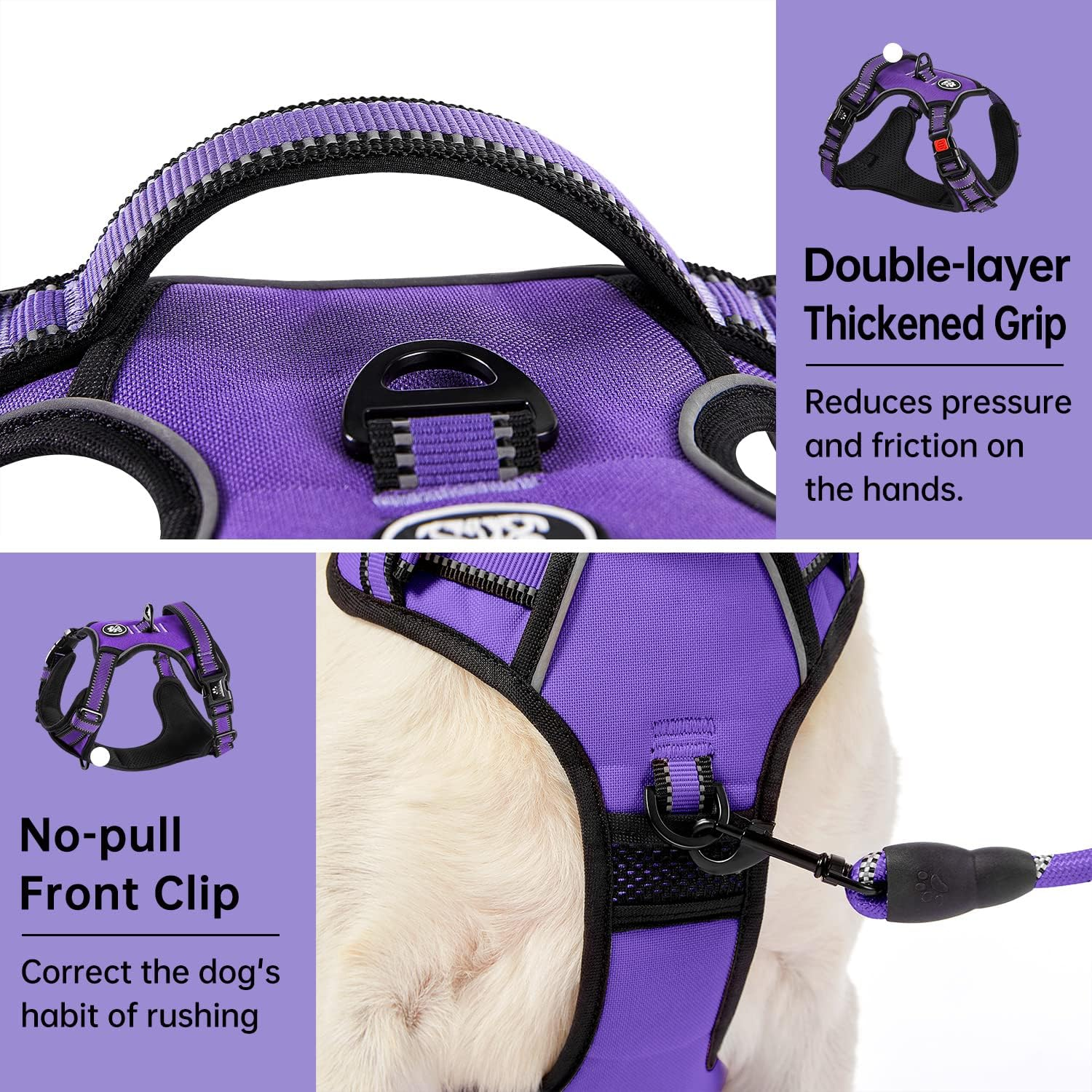 IVY&LANE No Pull Dog Harness for Small Dogs, Dog Vest Harness with Leash, Safety Belt and Storage Strap, Fully Adjustable Harness, 360&deg; Reflective Strip, Soft Handle (Purple, S) image number 2