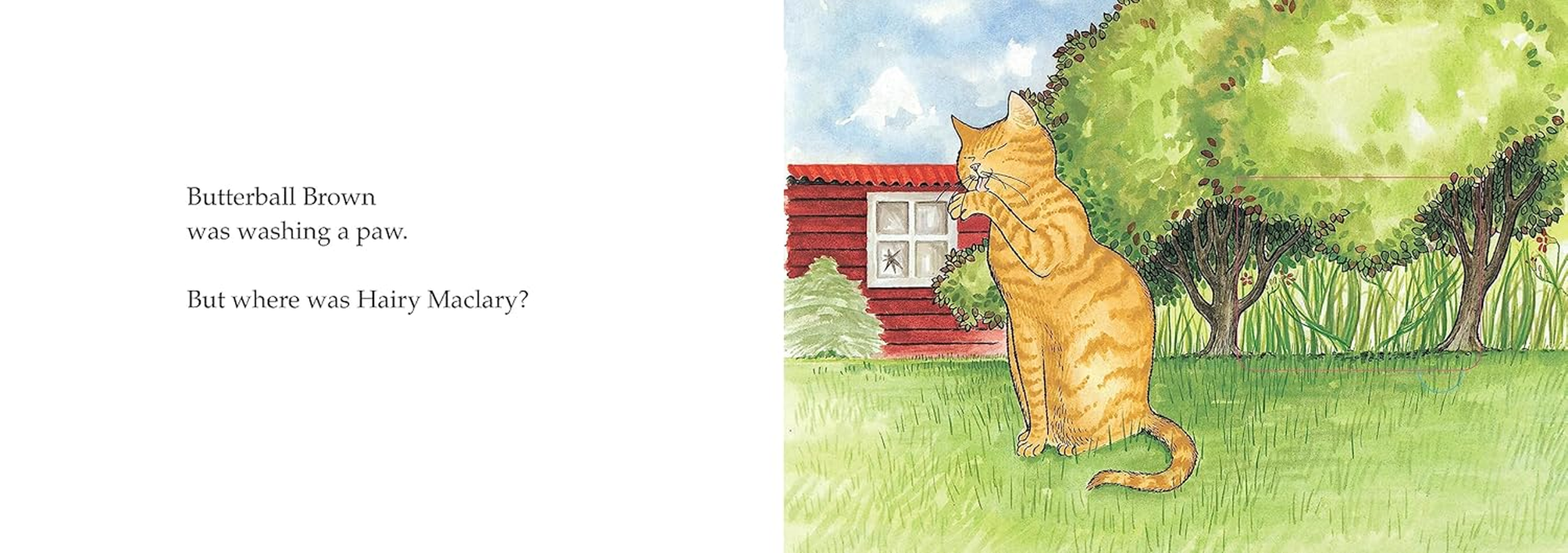 Hairy Maclary, Hide and Seek: a Lift the Flap Book