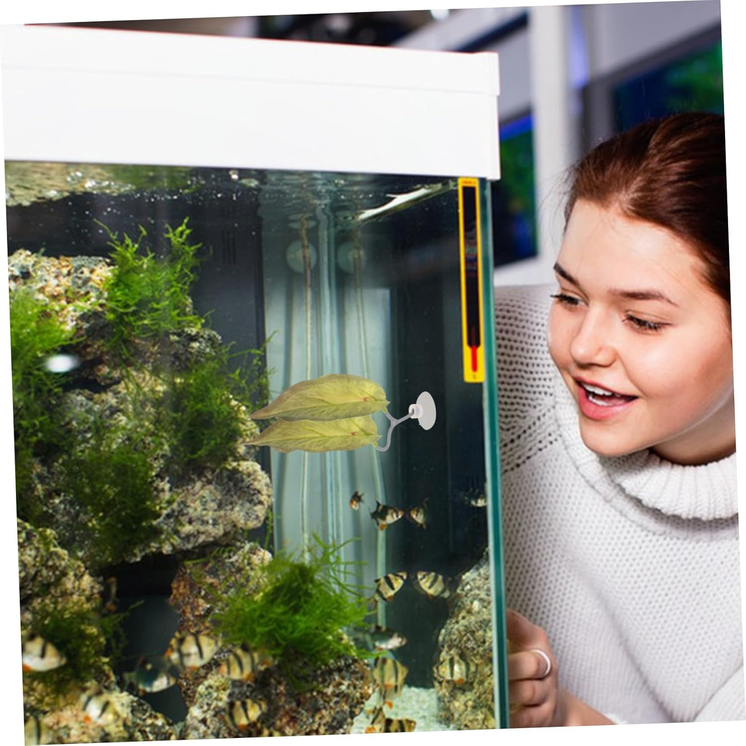 Gatuida 5Pcs Realistic Aquarium Plants Betta Hammock Leaves for Fish Tank Decor Betta-Friendly Resting and Breeding Pads Easy Installation Seamless Integration for Aquatic Pets image number 2