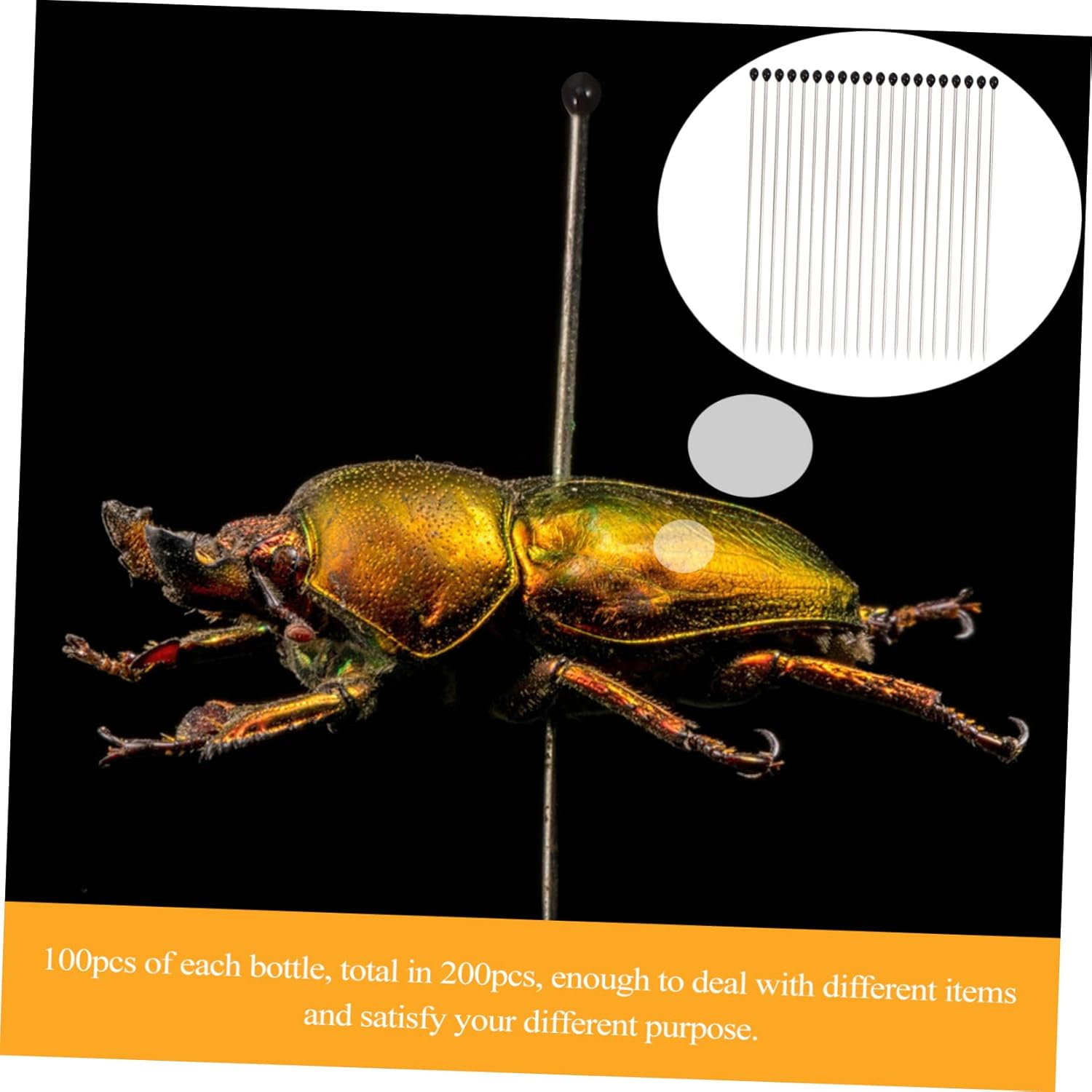 JECOMPRIS Specimen Pin 600 Pcs Insect Specimen Needle Stainless Collector Entomology Pin Entomology Kit image number 3