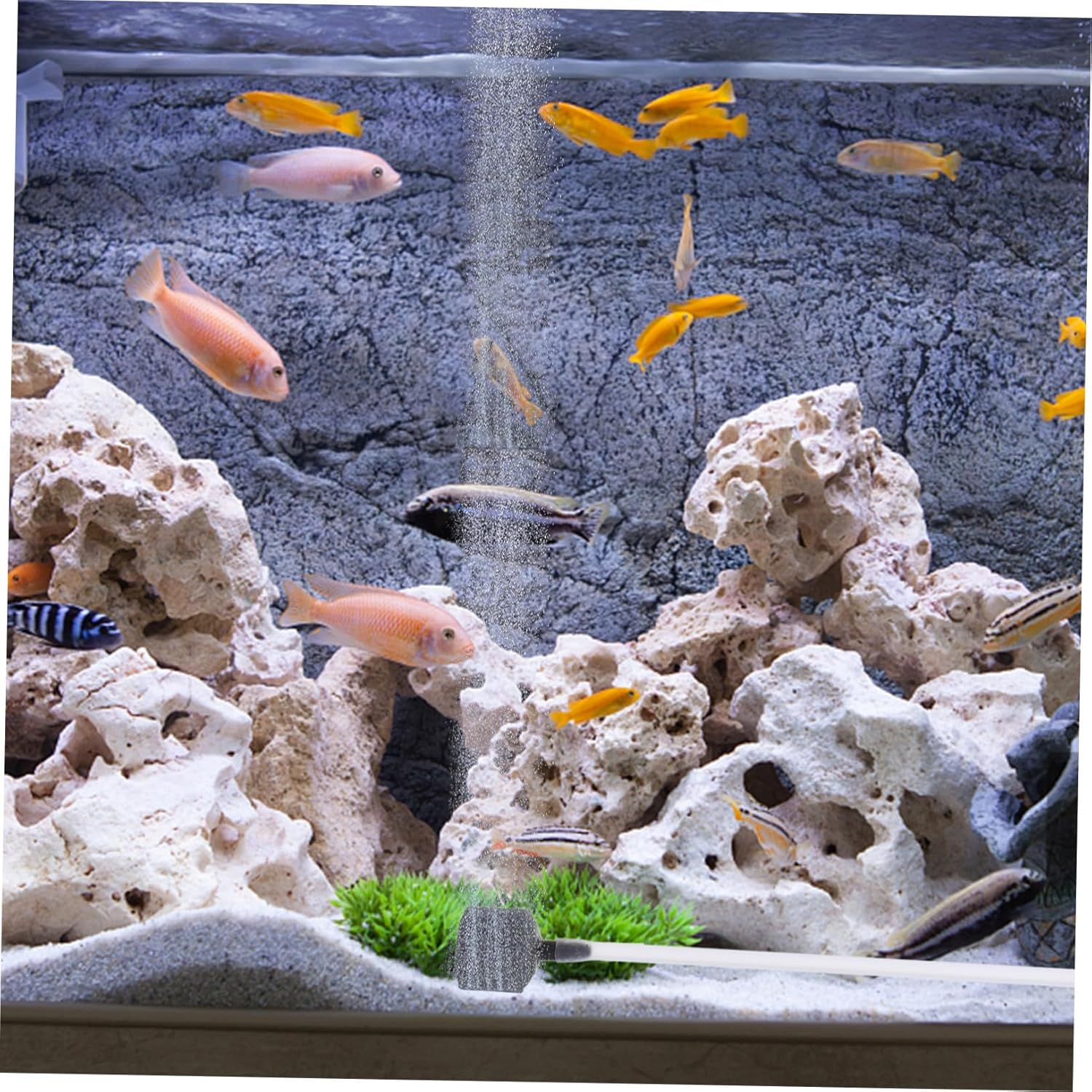 COHEALI Portable USB Small Aquarium Air Pump Silent Oxygen Aerator for Fish Tank with Shock-Absorbing Pad Efficient Plastic Bubbler for Indoor Aquatic Plants and Pets image number 2