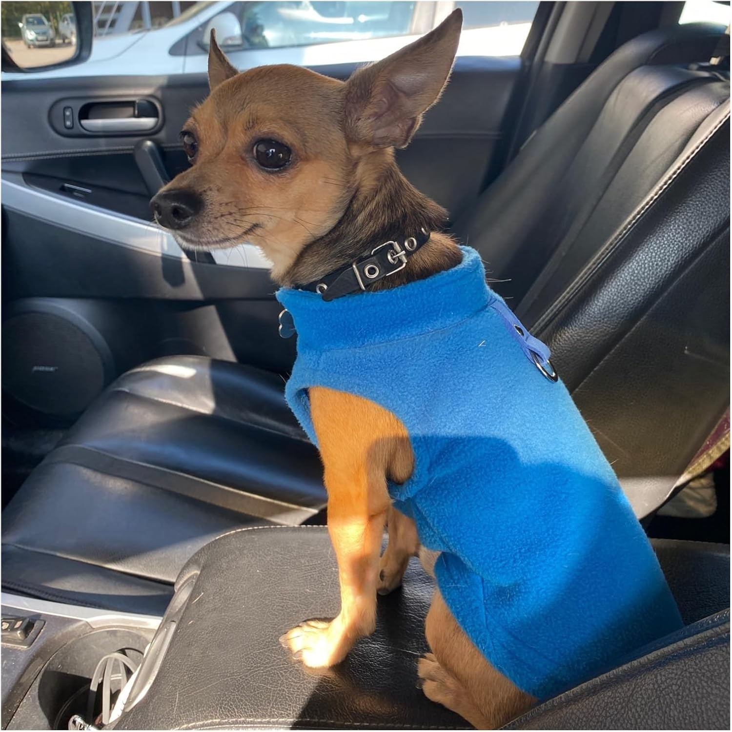 Dog Clothes Pet Clothing Solid Color Sweatshirt Vest Dog Clothes Autumn Winter Extra Thick Warm Rocking Fleece Pet Apparel Warm (Color : Gray, Size : S)