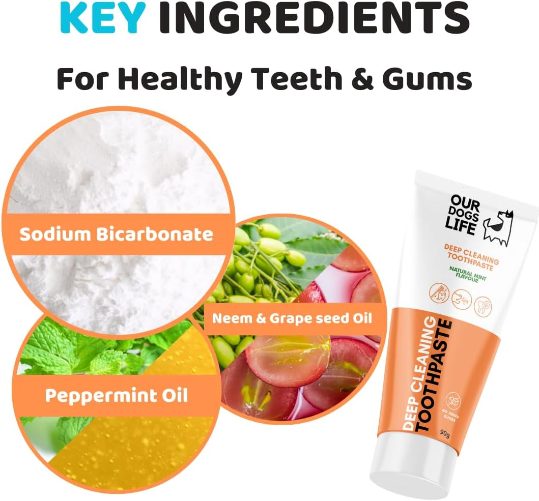 Dog Toothbrush with Toothpaste | Approved Dog Dental Kit | One Triple Headed Deep Cleaning Toothbrush for Dogs + Two 100% Natural Toothpaste + Two Finger Brushes | Freshen Breathe & Remove Plaque image number 5