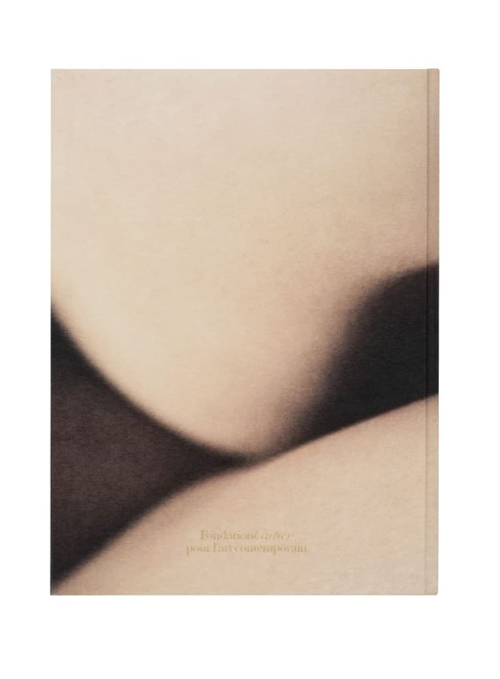 David Lynch, Digital Nudes image number 2