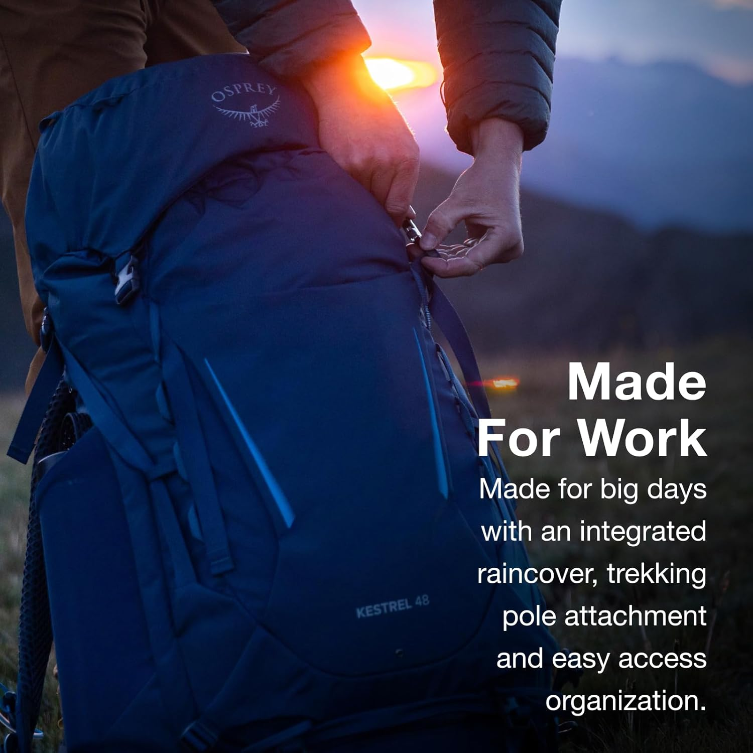 Kestrel Kestrel image number 1