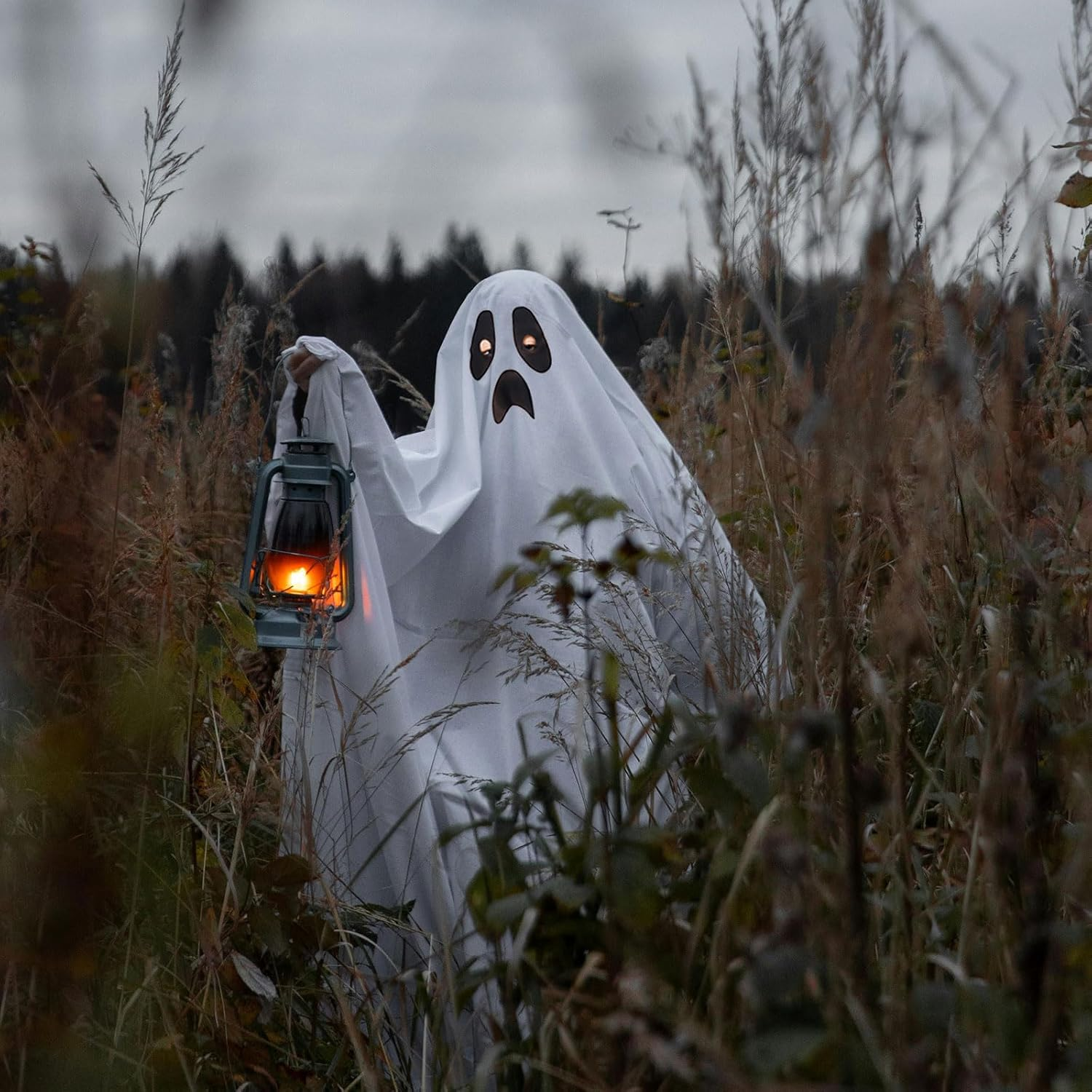 Ghost White Cape Halloween Costume for Children Boys Girls Scary Sweet or Sour Halloween Costume White Party Cosplay Carnival Masquerade Christmas (White) image number 4