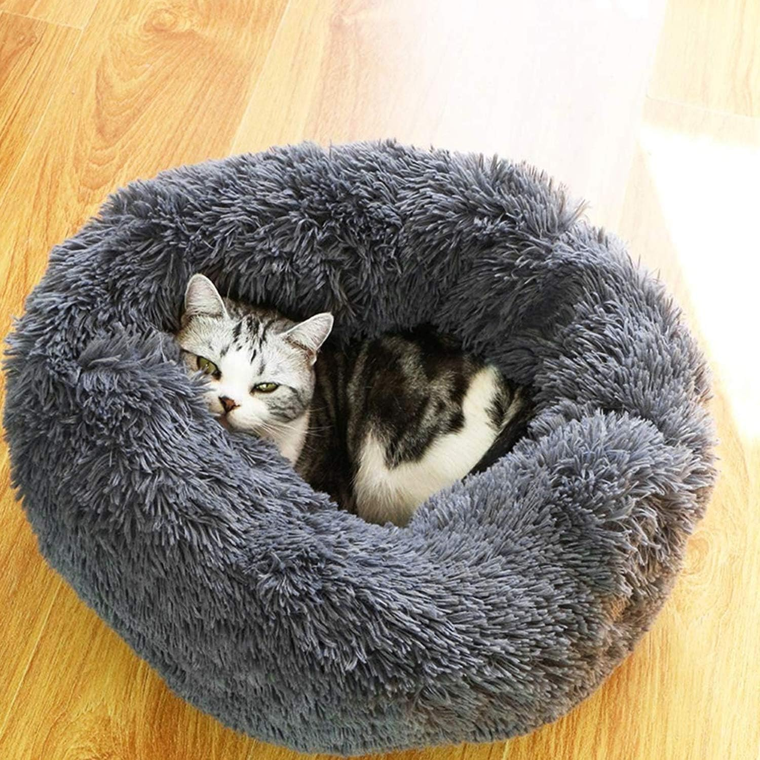 PETCUTE Cat Bed Fluffy Small Cat Beds round Dog Beds Cozy Pet Bed Washable Soft Bed for Kittens image number 4
