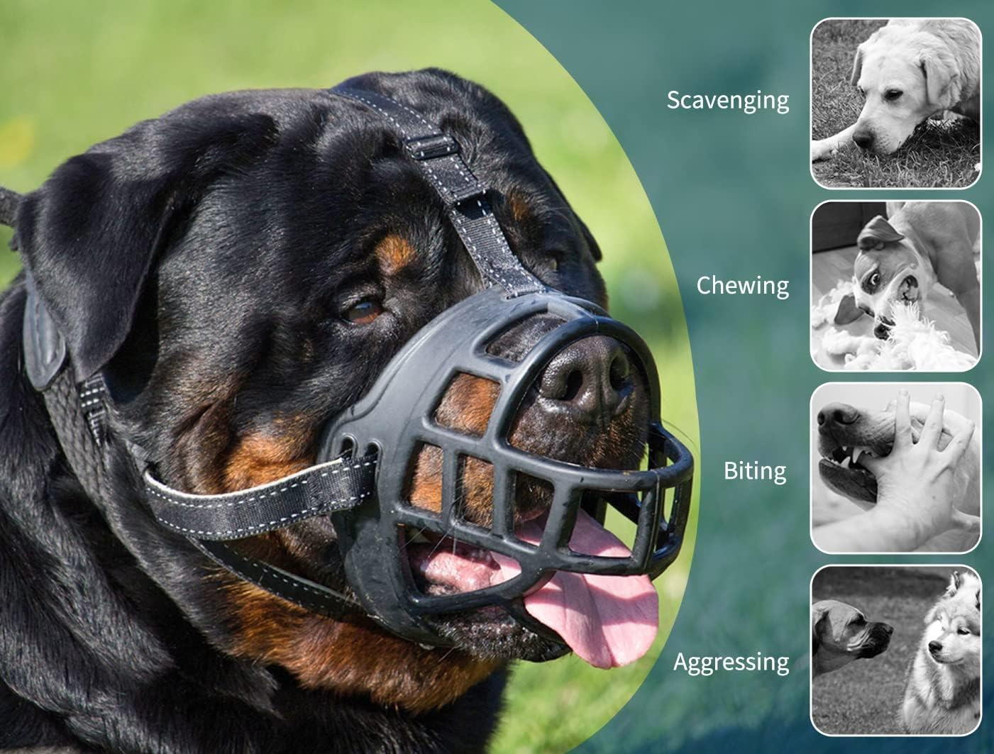 Dog Muzzle, Soft Silicone Basket Muzzle for Dogs, Allows Drinking, Prevents Unwanted Barking Biting and Chewing, Included Collar (Black, 3#)