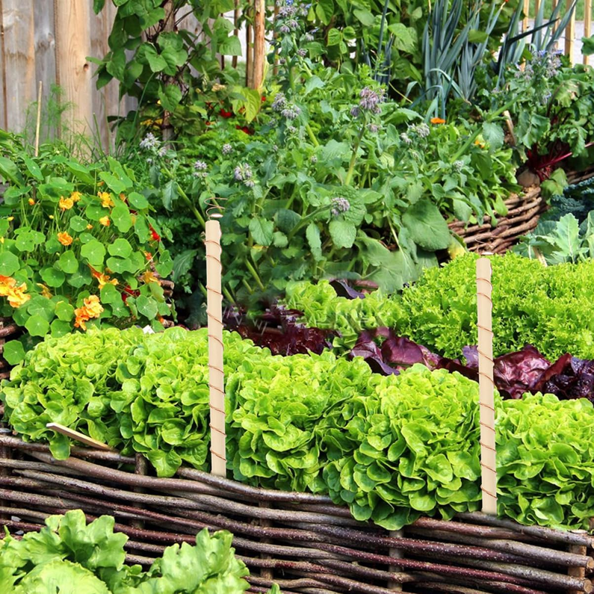 Kisangel Electroculture Plant Stakes for Gardening Stakes and Supports Plant Support Kit image number 1