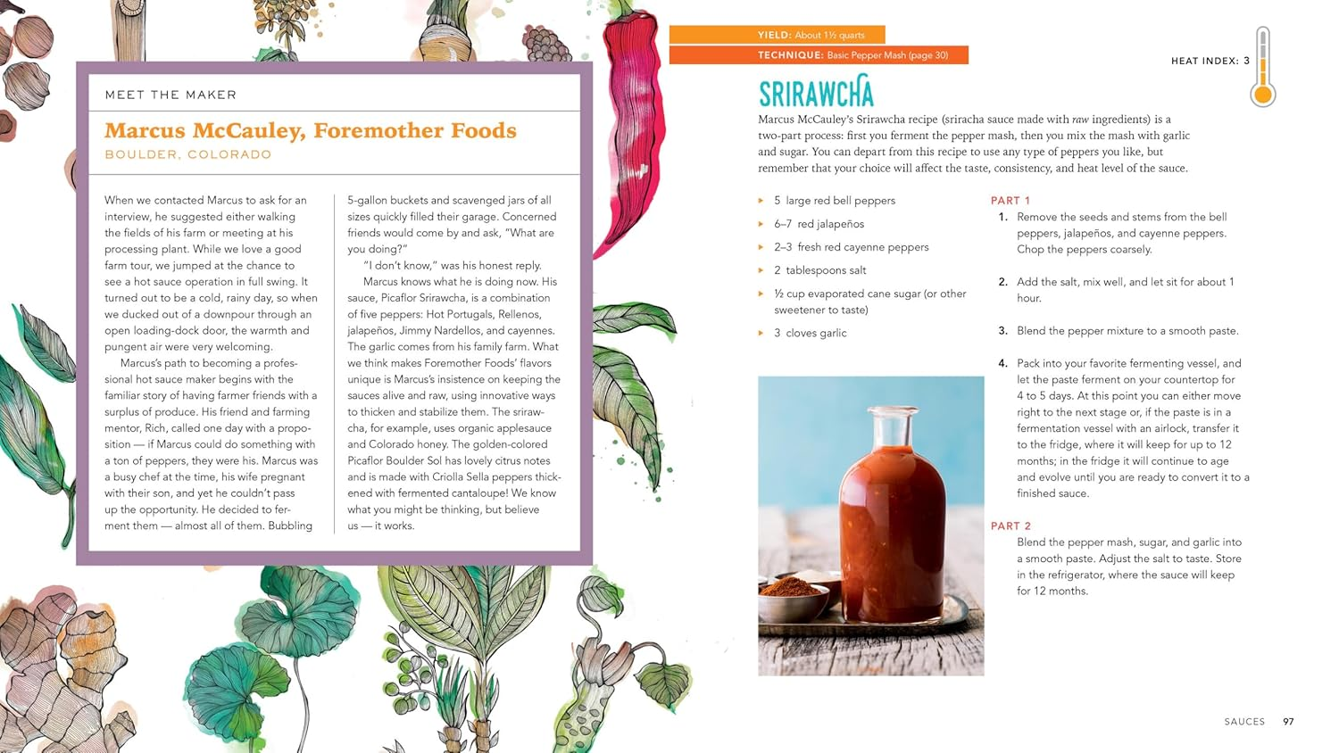 Fiery Ferments: 70 Stimulating Recipes for Hot Sauces, Spicy Chutneys, Kimchis with Kick, and Other Blazing Fermented Condiments image number 2