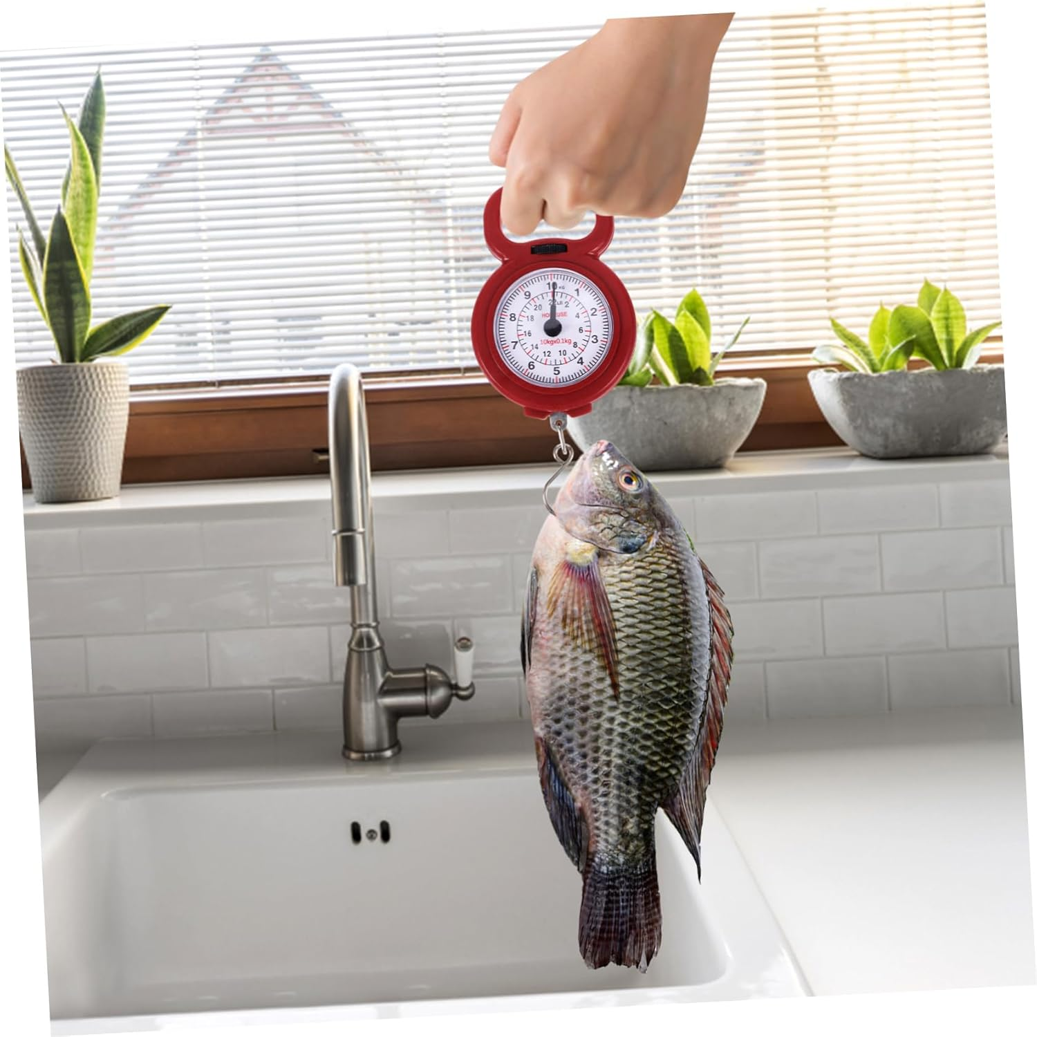 GALPADA 3Pcs Hanging Scale Digital Screen Scale Portable for Luggage Weighing Accurate Handheld Weighing for Kitchen Travel Use Capacity Random Color image number 2