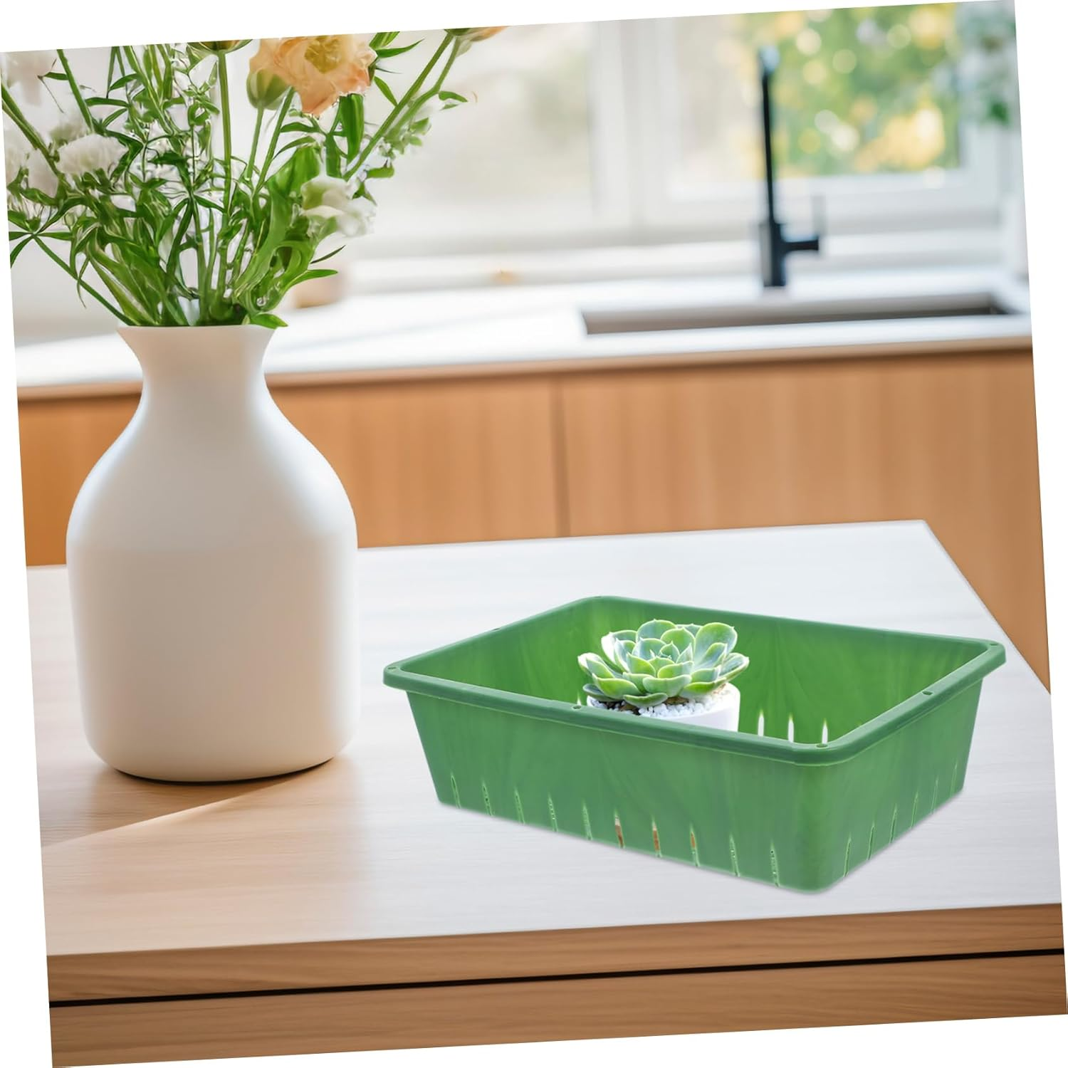 PHENOFICE 2 Pcs Plastic Seedling Tray for Indoor Gardening, 26X18X7Cm Small Rectangular Sprouting Tray Breathable Design for Seed Starting and Succulent Germination image number 4