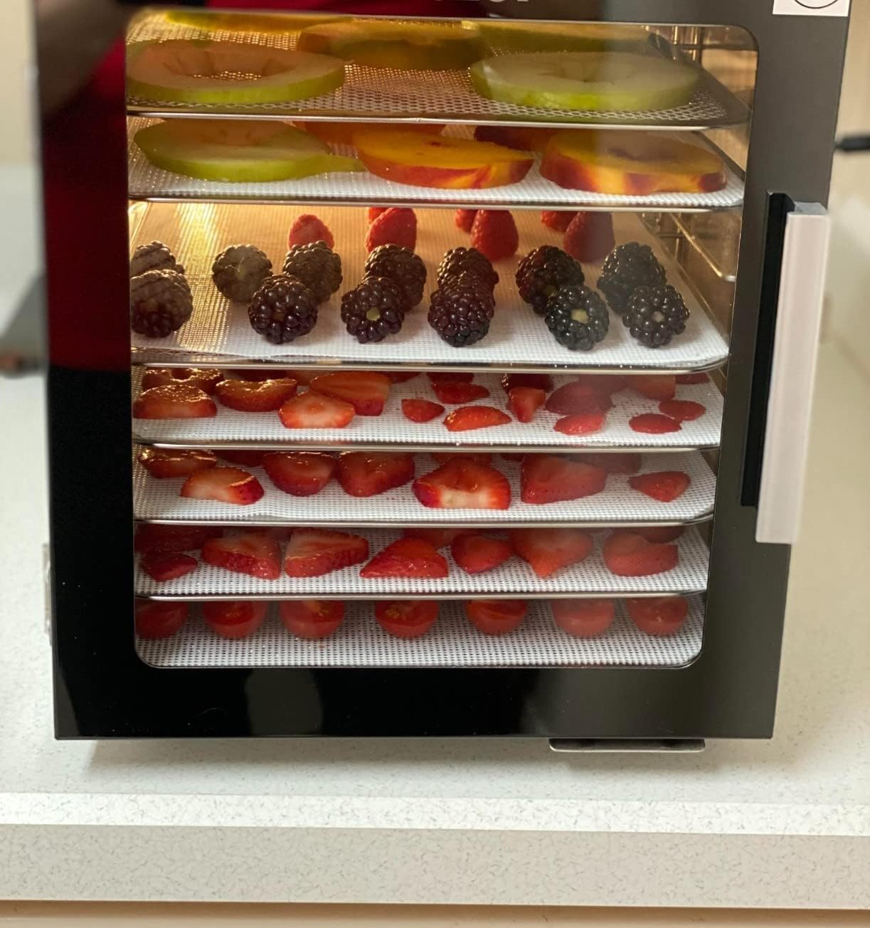 Dostk (6 Pack) Silicone Dehydrator Sheets, Premium Non Stick Dehydrator Mats for Fruit Dryer Mesh, Dehydrator Tray Liner Reusable (14 X 14 Inch) image number 2