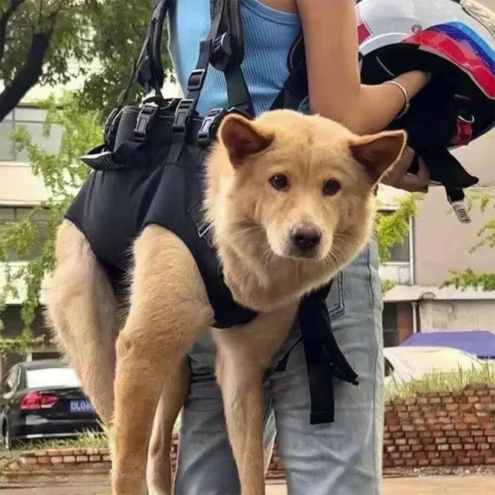 RUTREZOGO Adjustable Dog Lift Harness & Sling Carrier &ndash; Portable Full-Body Pet Backpack for Small Dogs, Front Leg Support for Arthritis, Hip Dysplasia, Hiking, Biking, Motorcycle Travel (M) image number 2