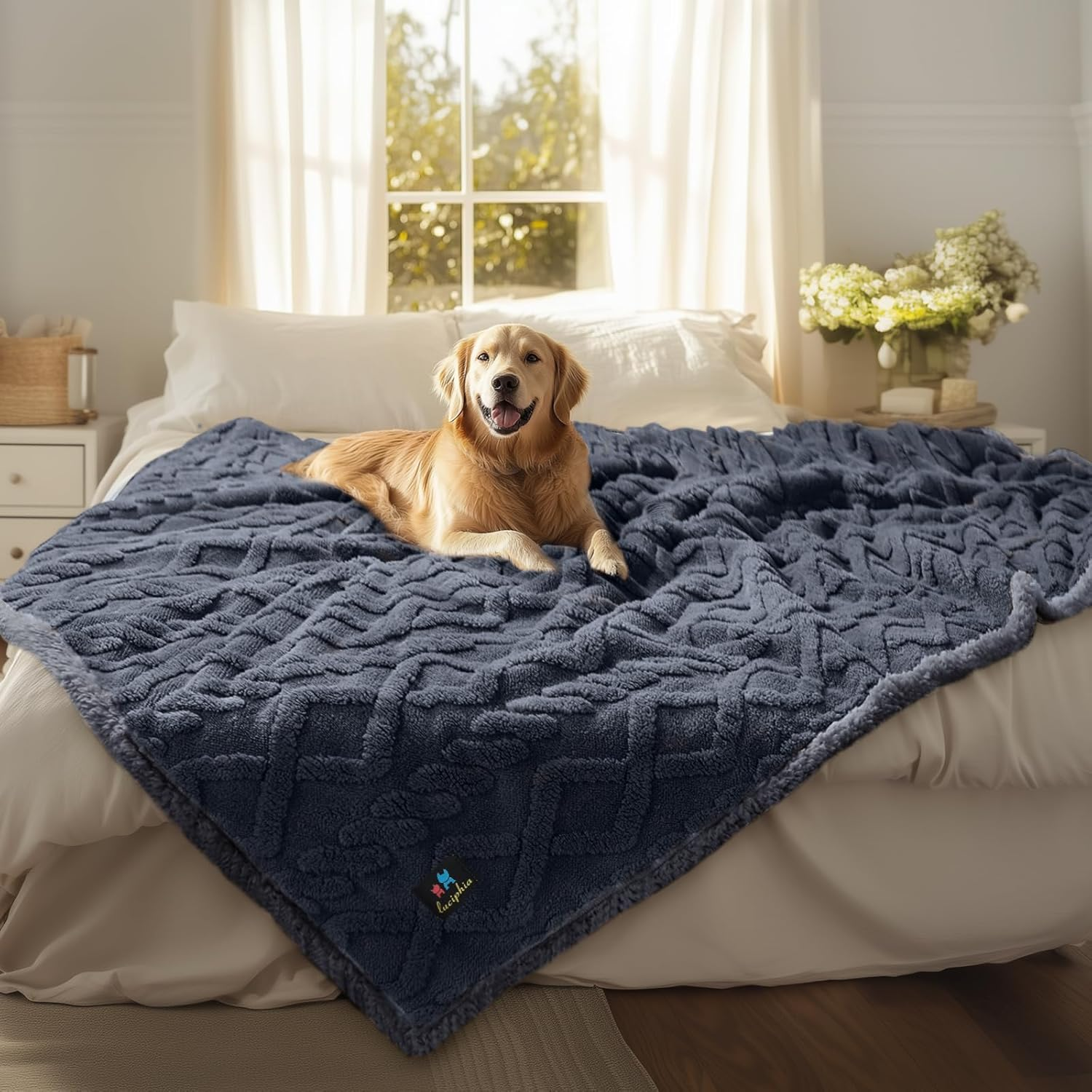 Luciphia 1 Pack 3 Blankets Super Soft Fluffy Premium Fleece Pet Blanket Flannel Throw for Dog Puppy Dot Medium