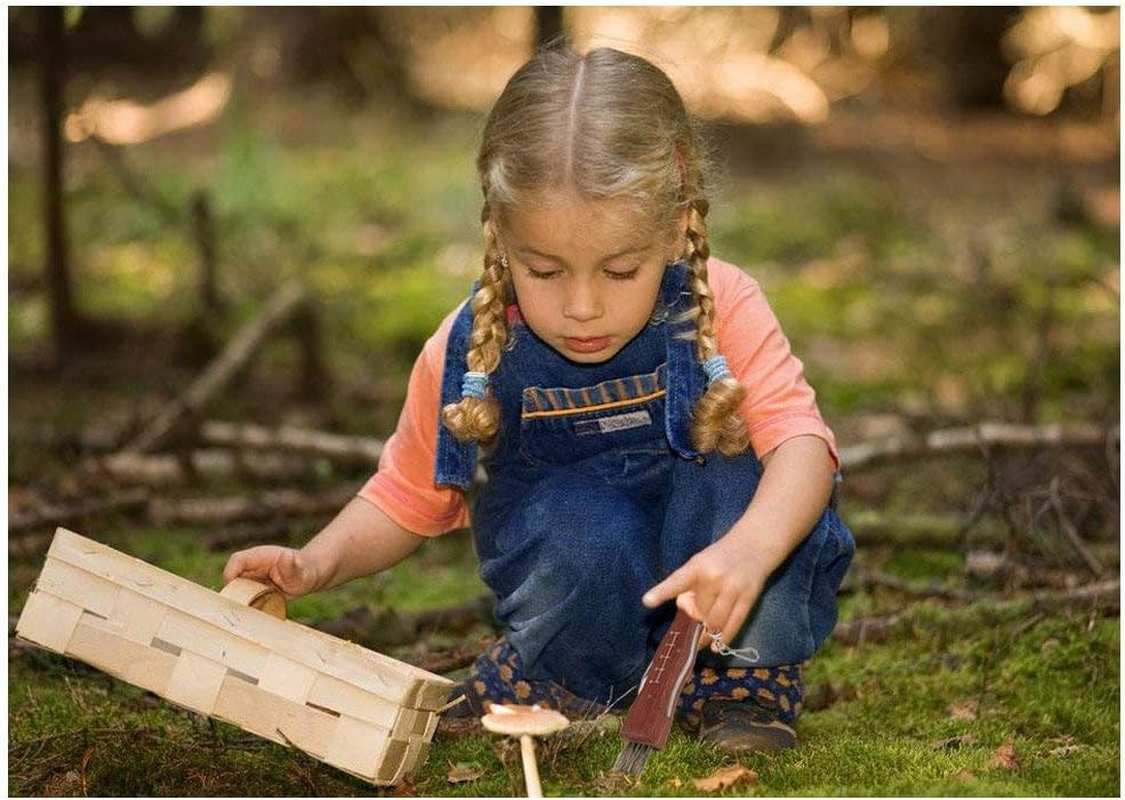 Run-Snail Mushroom Knife, Fungus Knife, Folding Camping Hunting Truffles Harvest Sharp Knives Natural Wood Handle Pocket Knife W/Bristle Brush, SS Pruning Blade, Hardwood Handle image number 2