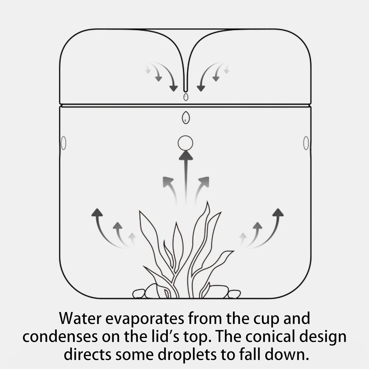 SARUFO Small Glass Plant Terrarium 4.7"X7" Inches Succulent Air Planter Fern Moss Micro-Landscape Vase for Home Garden Office Tabletop Decoration Container with Lid Indoor Wardian Copyright Patent image number 4